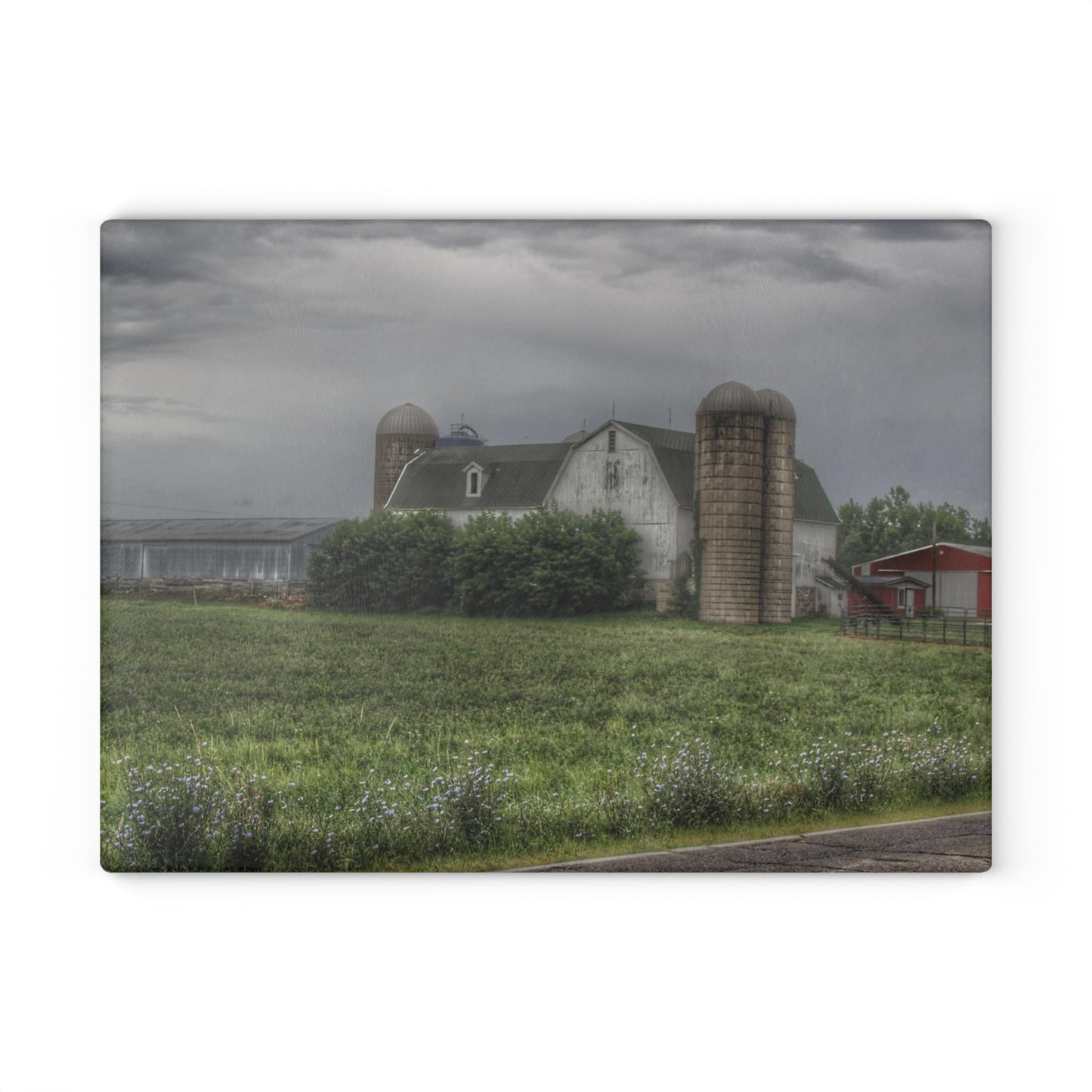 U R There Photography Clark Road White II Rustic Farmhouse Tempered-Glass Cutting Board