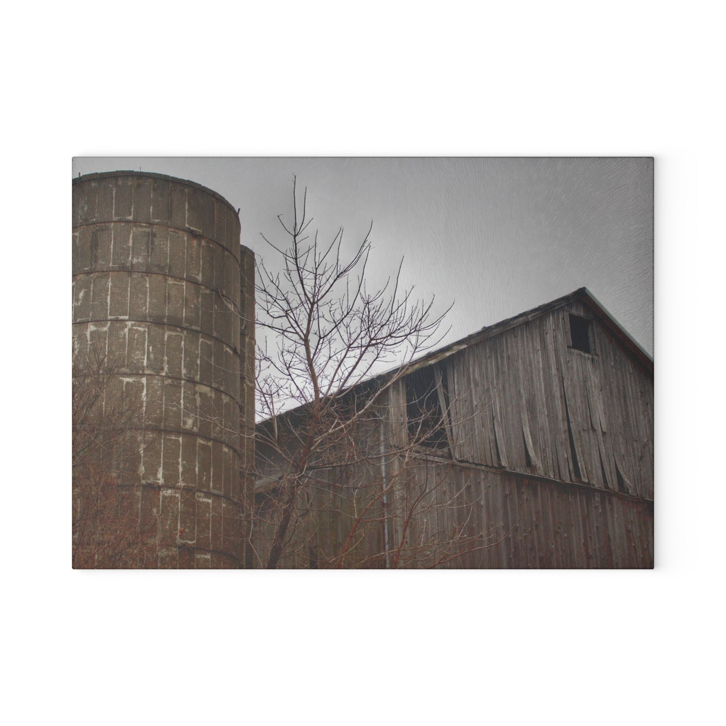 U R There Photography Brandon Hill Grey Rustic Farmhouse Tempered-Glass Cutting Board