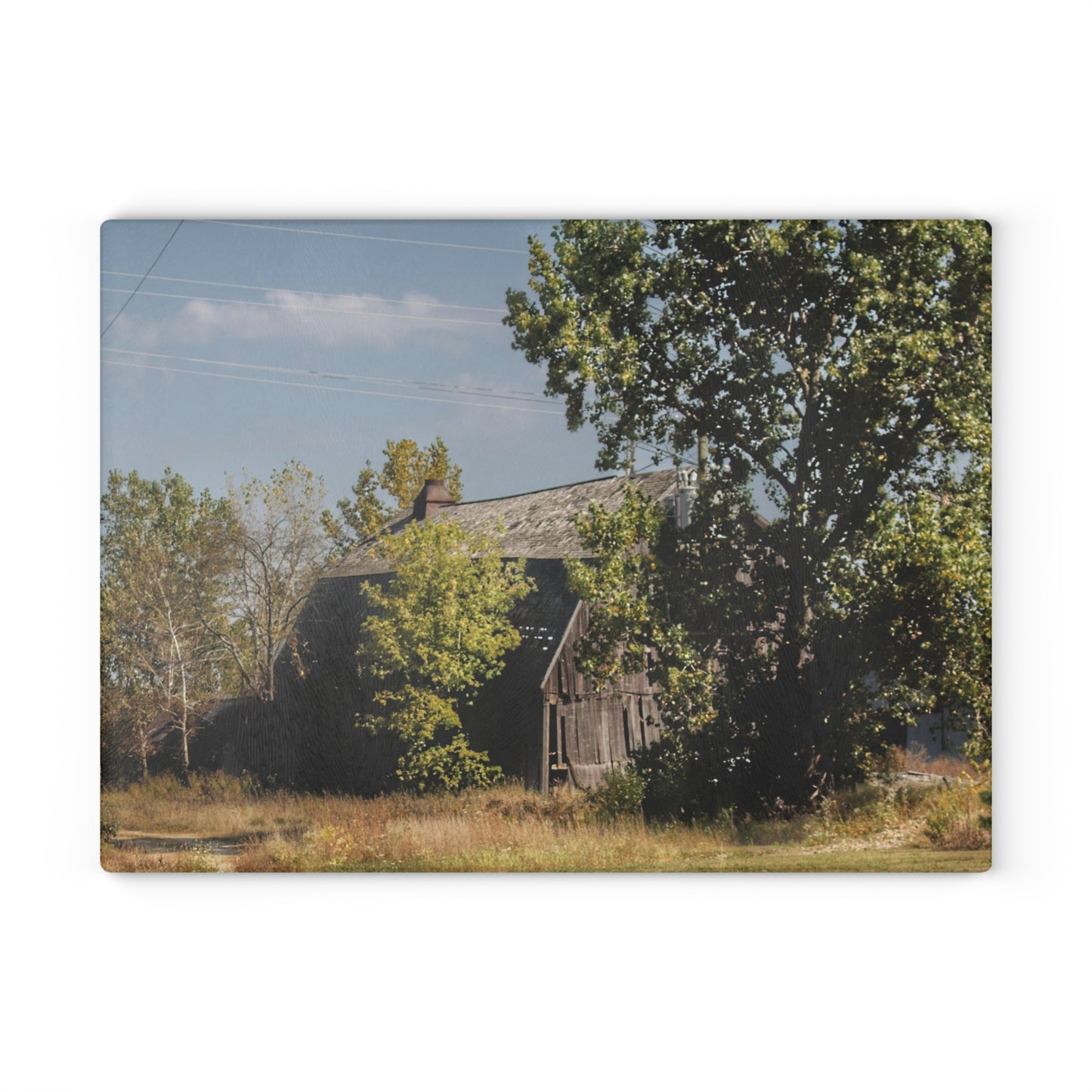 U R There Photography Barnes Road Grey Rustic Farmhouse Tempered-Glass Cutting Board