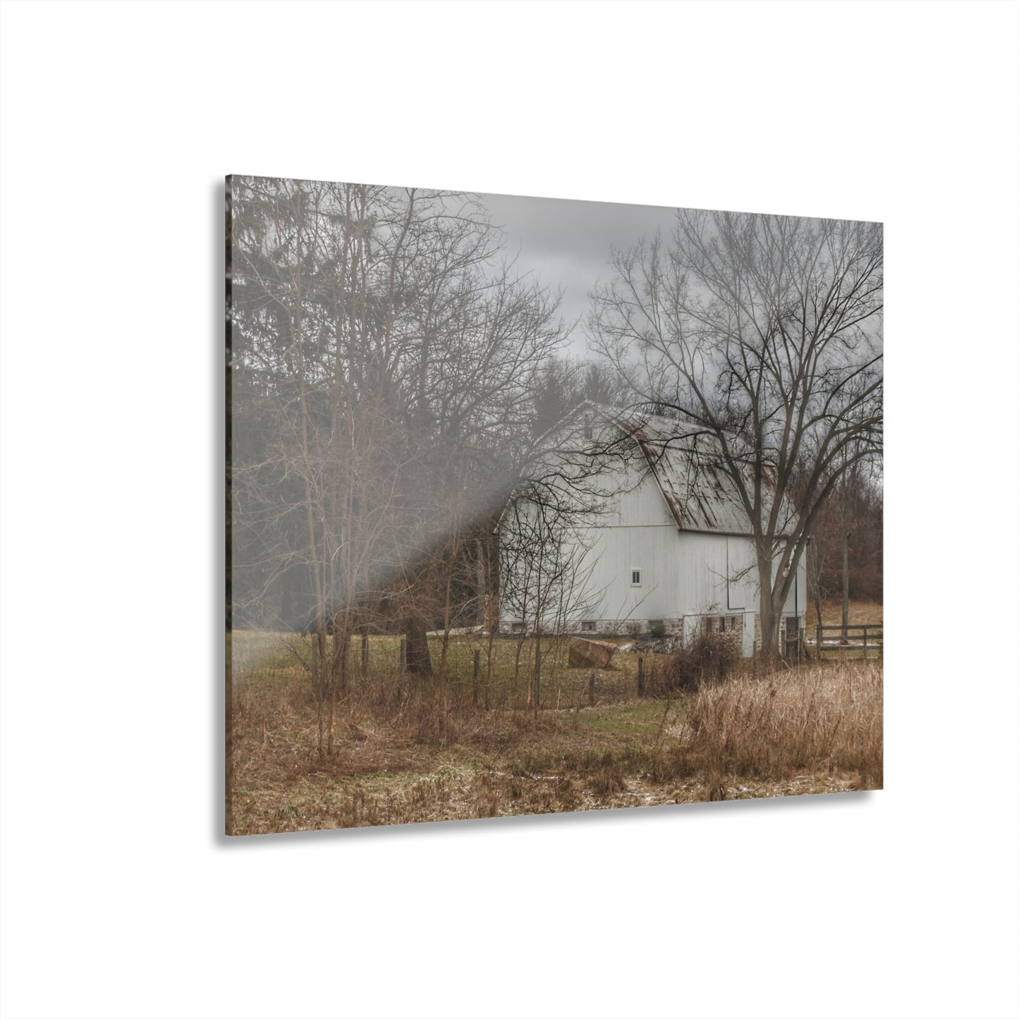 U R There Photography Oakwood Road White II Rustic Farmhouse Acrylic Wall Print