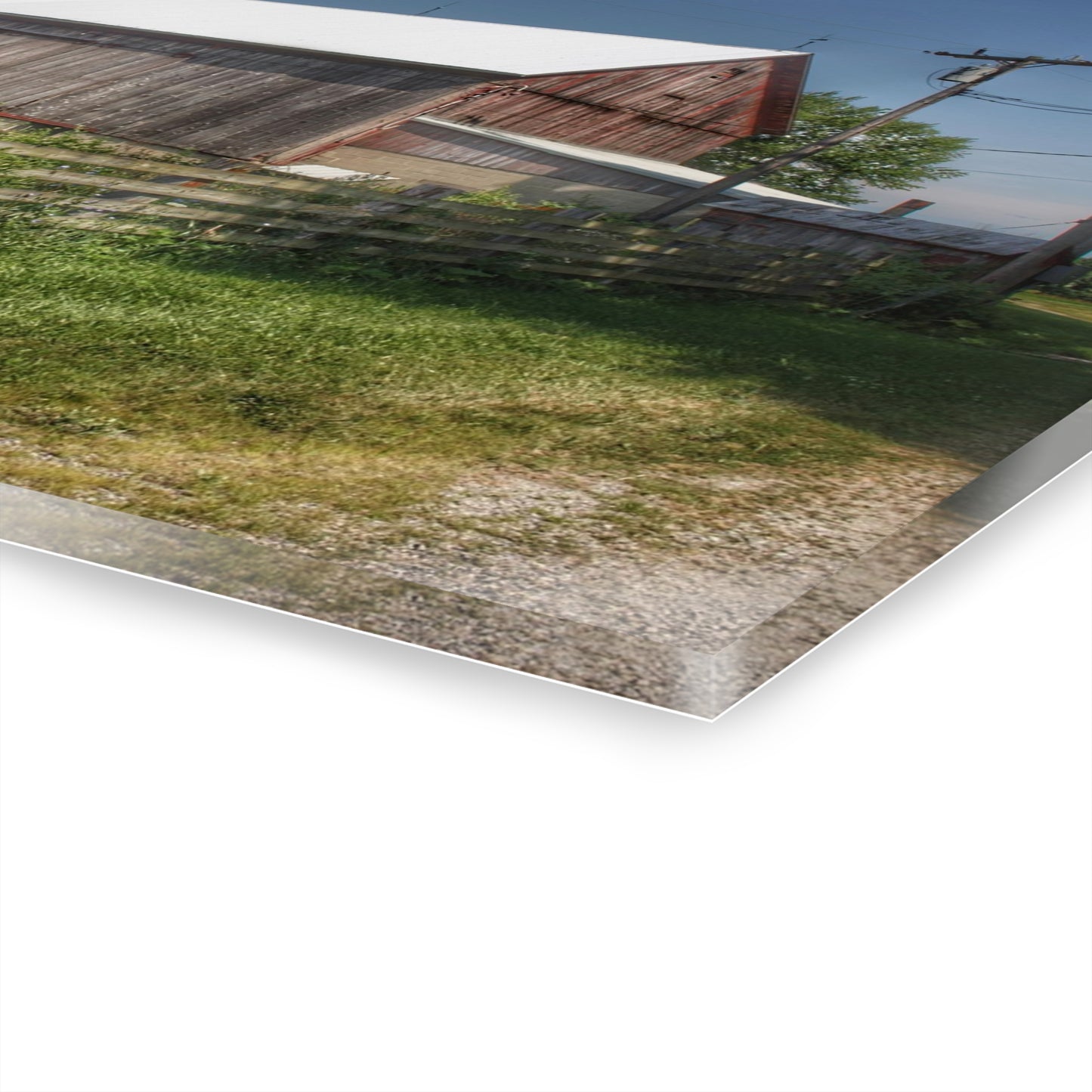 U R There Photography Castle Road Cow Barn I Rustic Farmhouse Acrylic Wall Print
