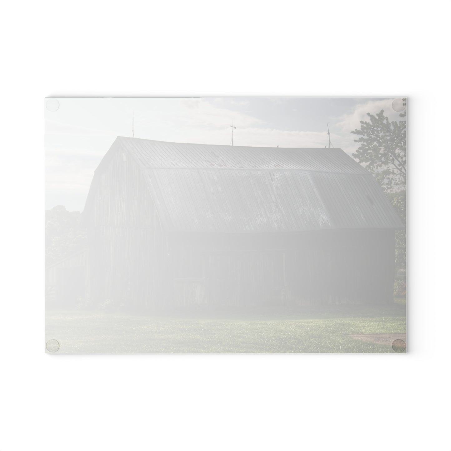 U R There Photography Rich Road Grey Rustic Farmhouse Tempered-Glass Cutting Board