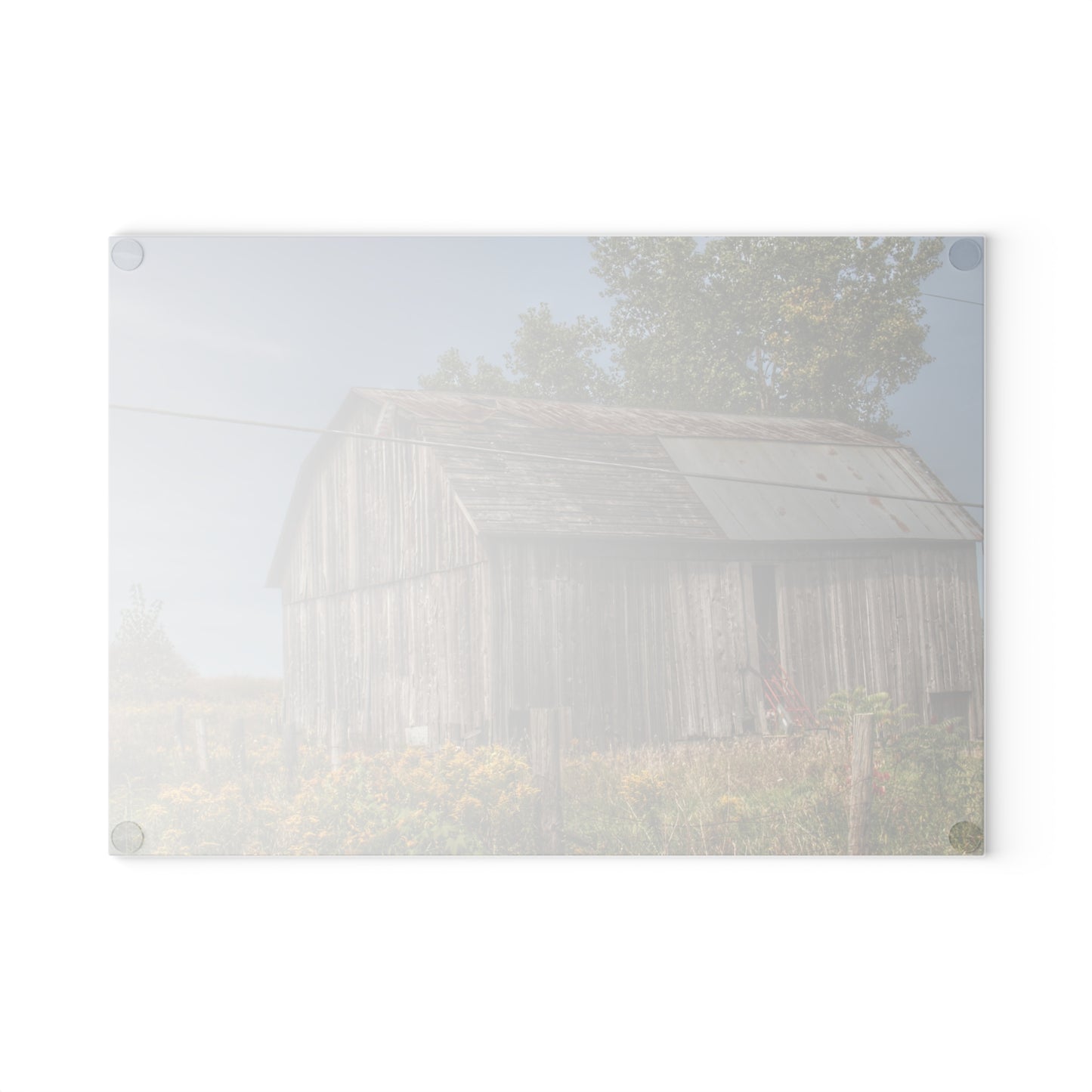 U R There Photography Schott Road Grey I Rustic Farmhouse Tempered-Glass Cutting Board