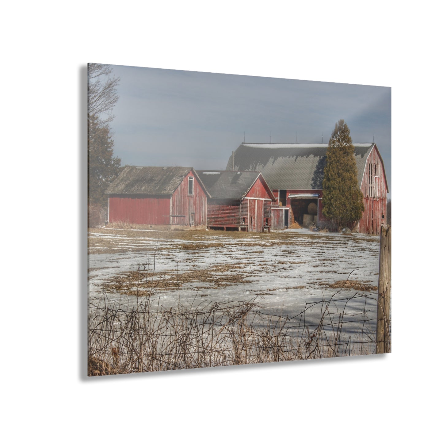 U R There Photography Wilder Road Reds Rustic Farmhouse Acrylic Wall Print