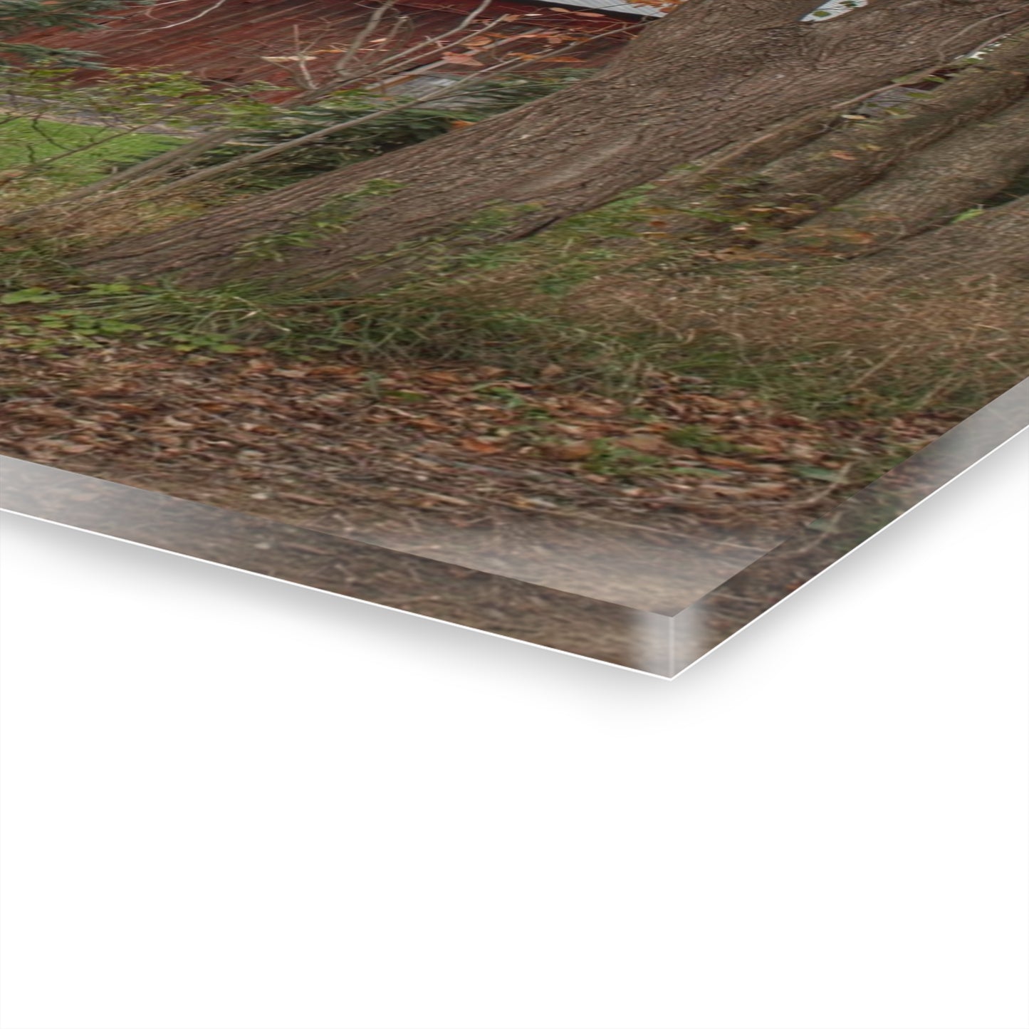 U R There Photography Big Fish Lake Road Red Rustic Farmhouse Acrylic Wall Print