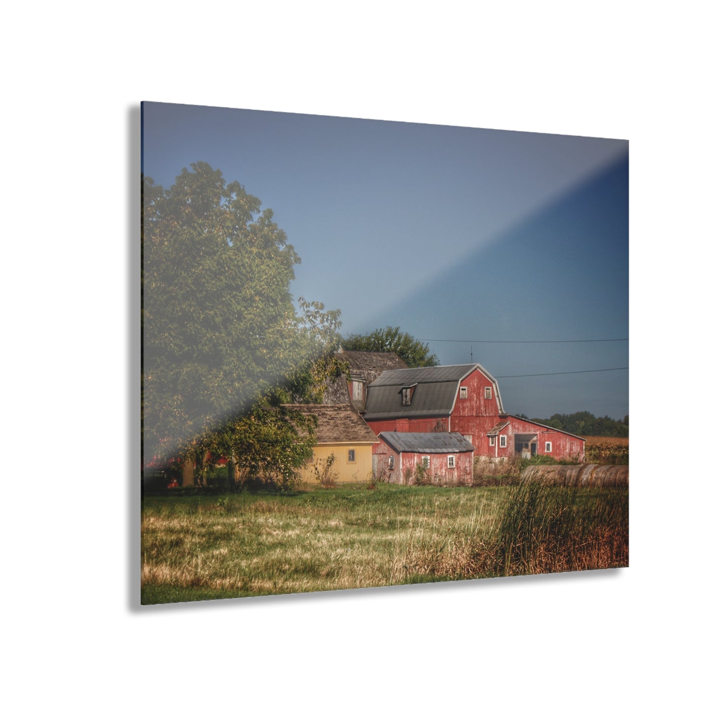 U R There Photography Rochester Road Red I Rustic Farmhouse Acrylic Wall Print