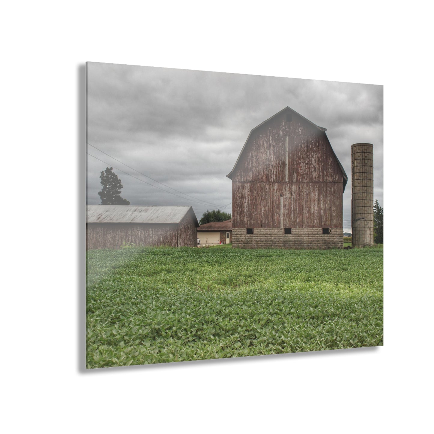 U R There Photography Van Geisen Road Grey Rustic Farmhouse Acrylic Wall Print