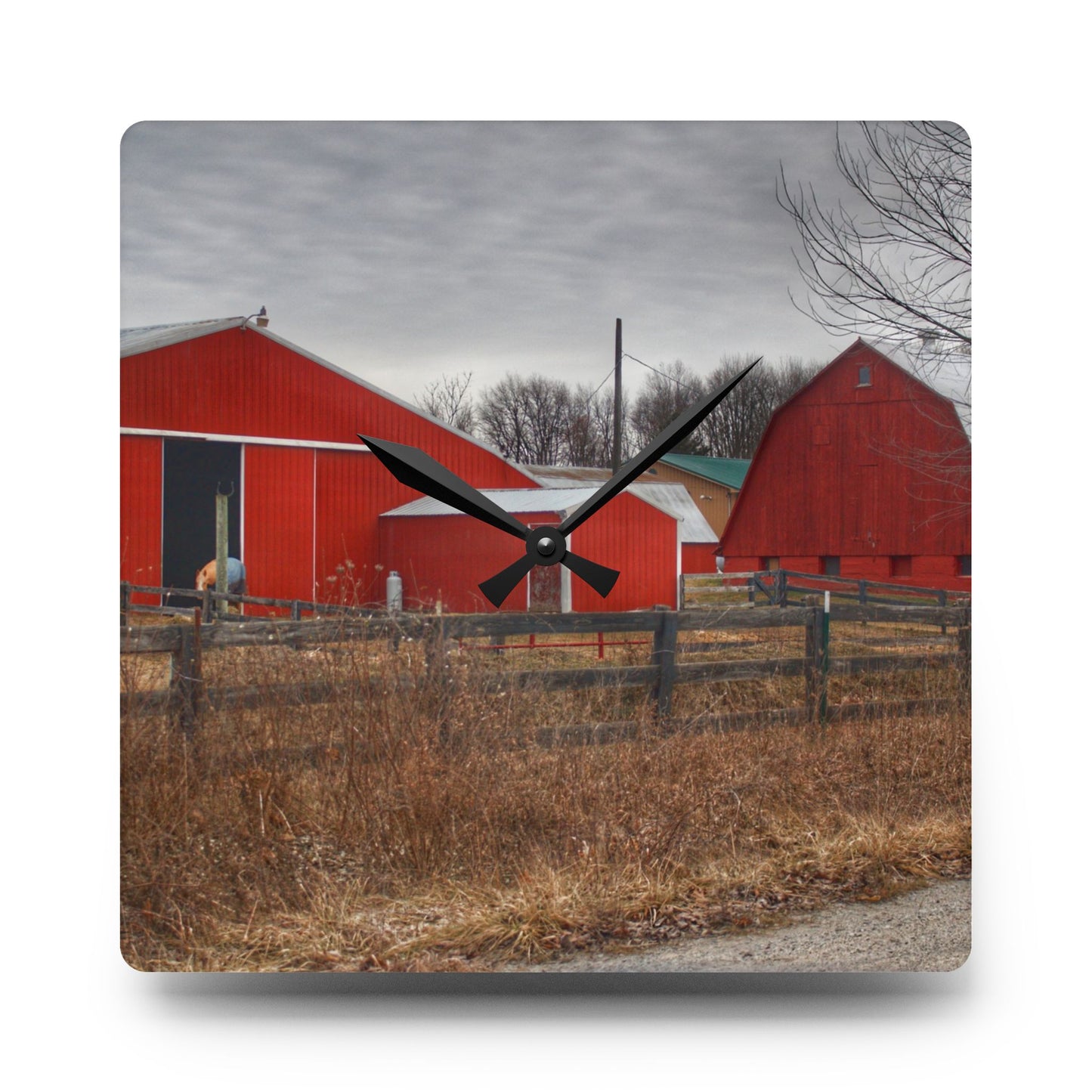 U R There Photography January Reds Rustic Farmhouse Acrylic Analog Wall Clock