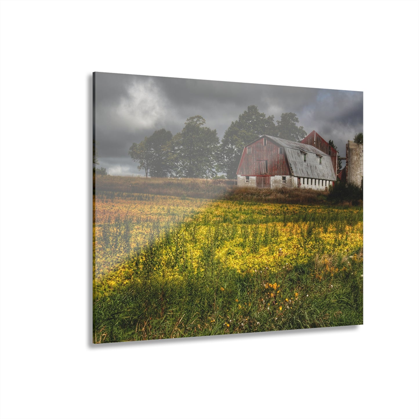 U R There Photography Remnants Rustic Farmhouse Acrylic Wall Print