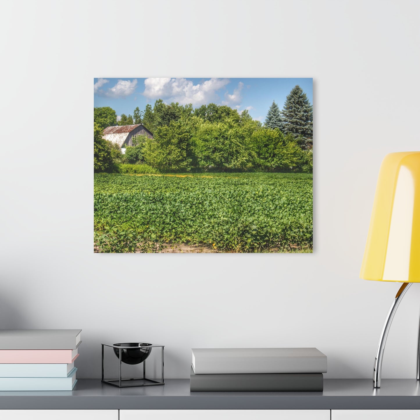 U R There Photography Canada Road Hidden Rustic Farmhouse Acrylic Wall Print