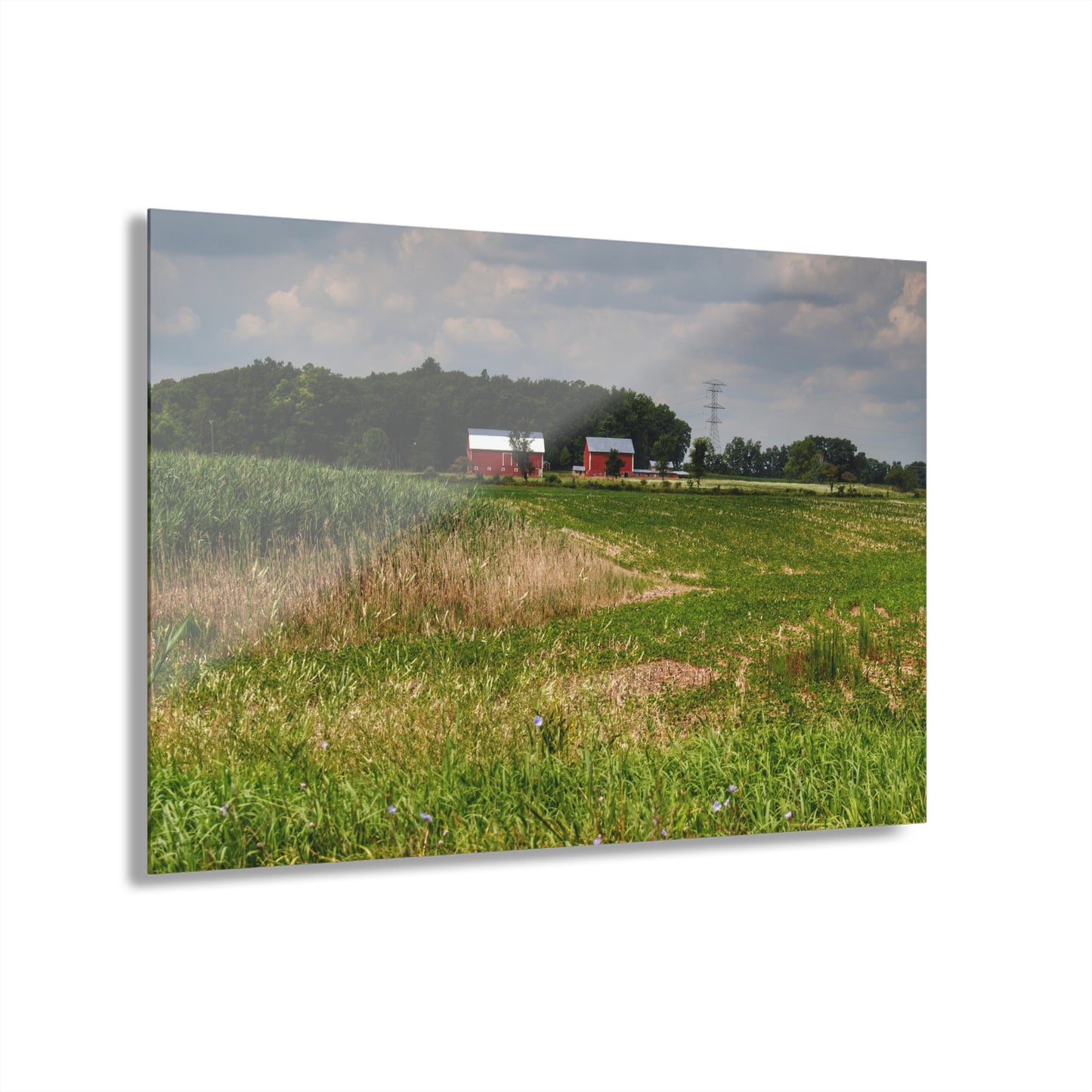 Rustic Farmhouse Wall Print Featuring Across the Field in Elba II