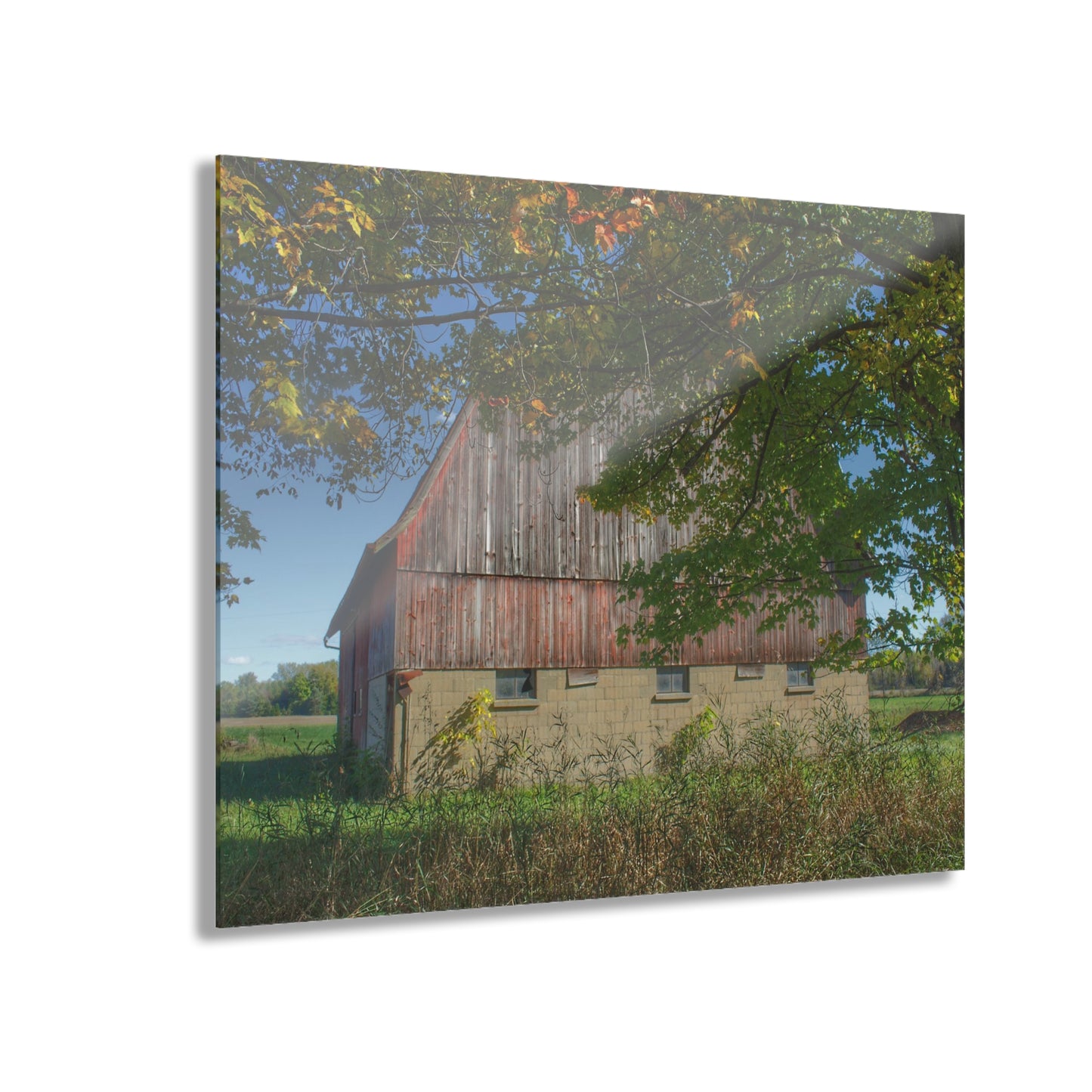 U R There Photography Byington Road Red I Rustic Farmhouse Acrylic Wall Print