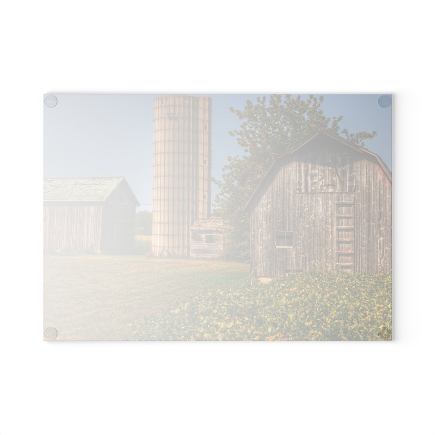 U R There Photography Swaffer Mini Greys and Silos Rustic Farmhouse Tempered-Glass Cutting Board