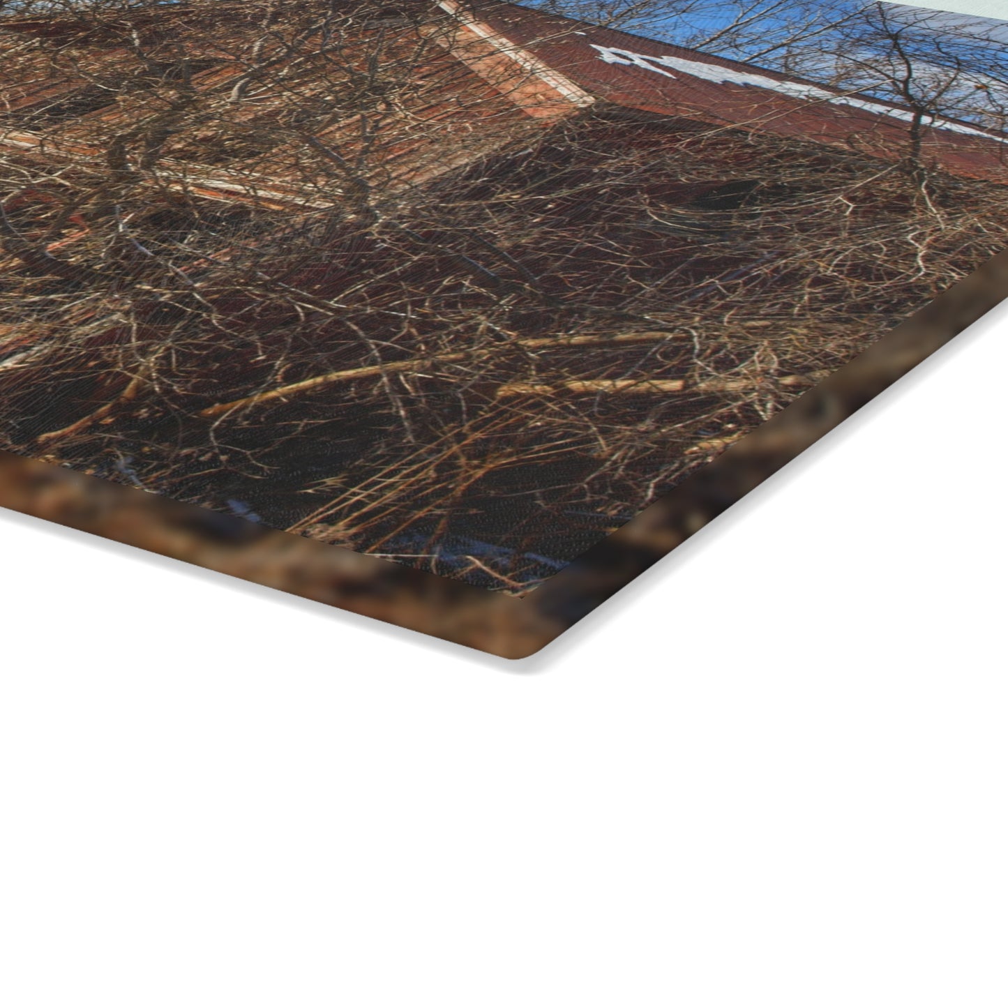 U R There Photography Buried Burnside Greys II Rustic Farmhouse Tempered-Glass Cutting Board