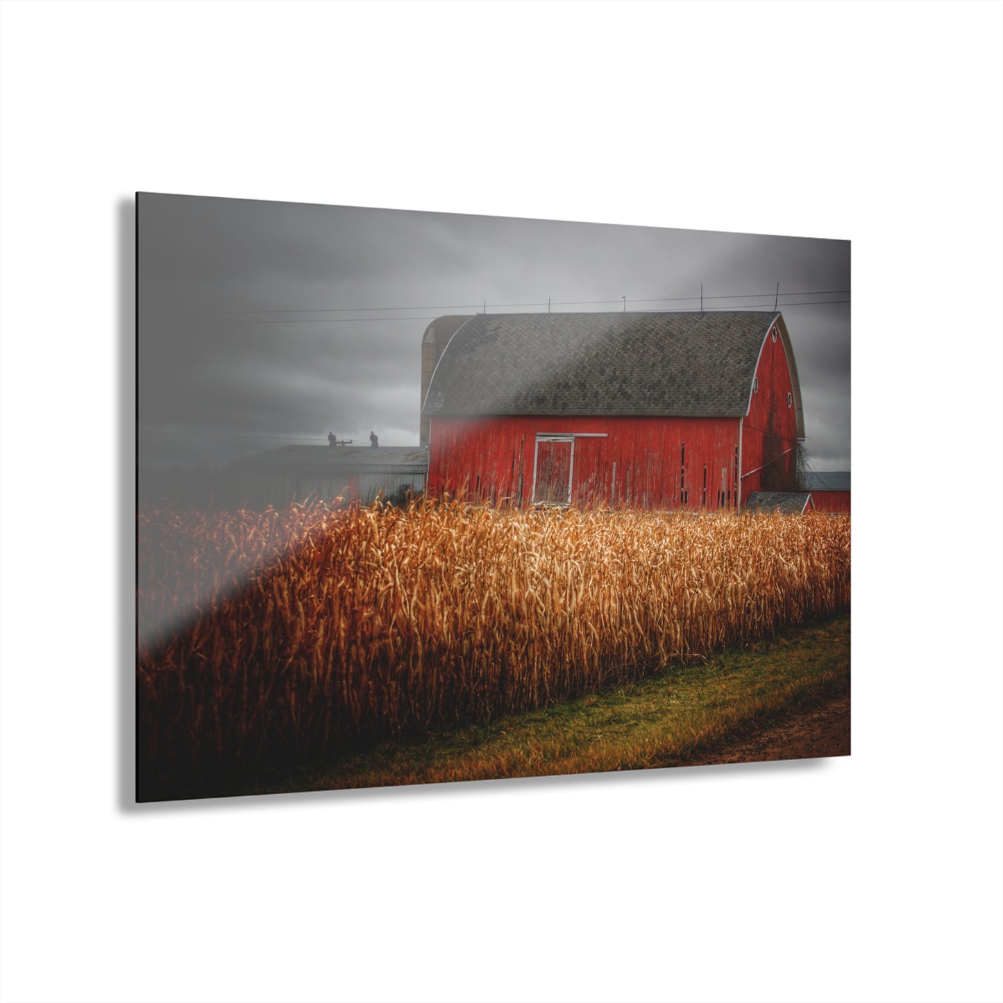 U R There Photography Slattery Road Cornfield Red Rustic Farmhouse Acrylic Wall Print