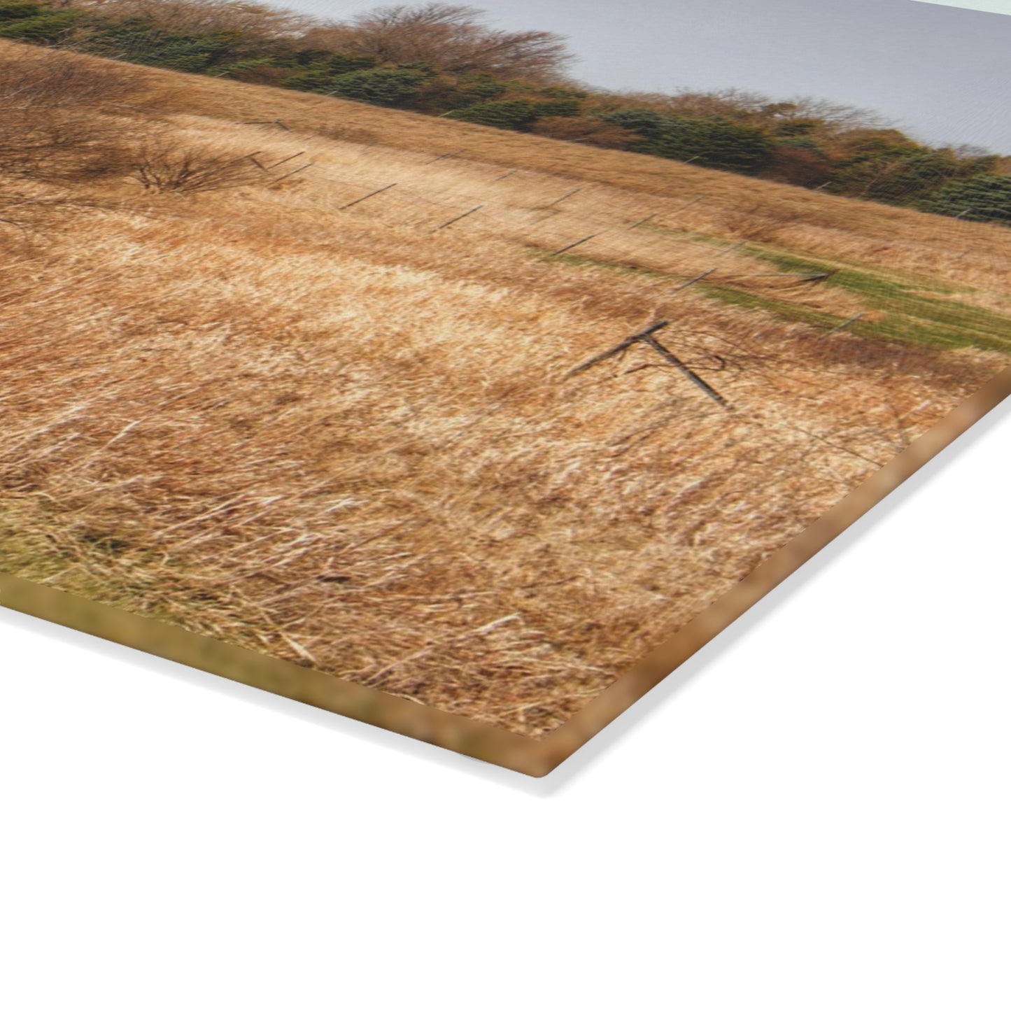 U R There Photography Beyond the Short Pines Rustic Farmhouse Tempered-Glass Cutting Board