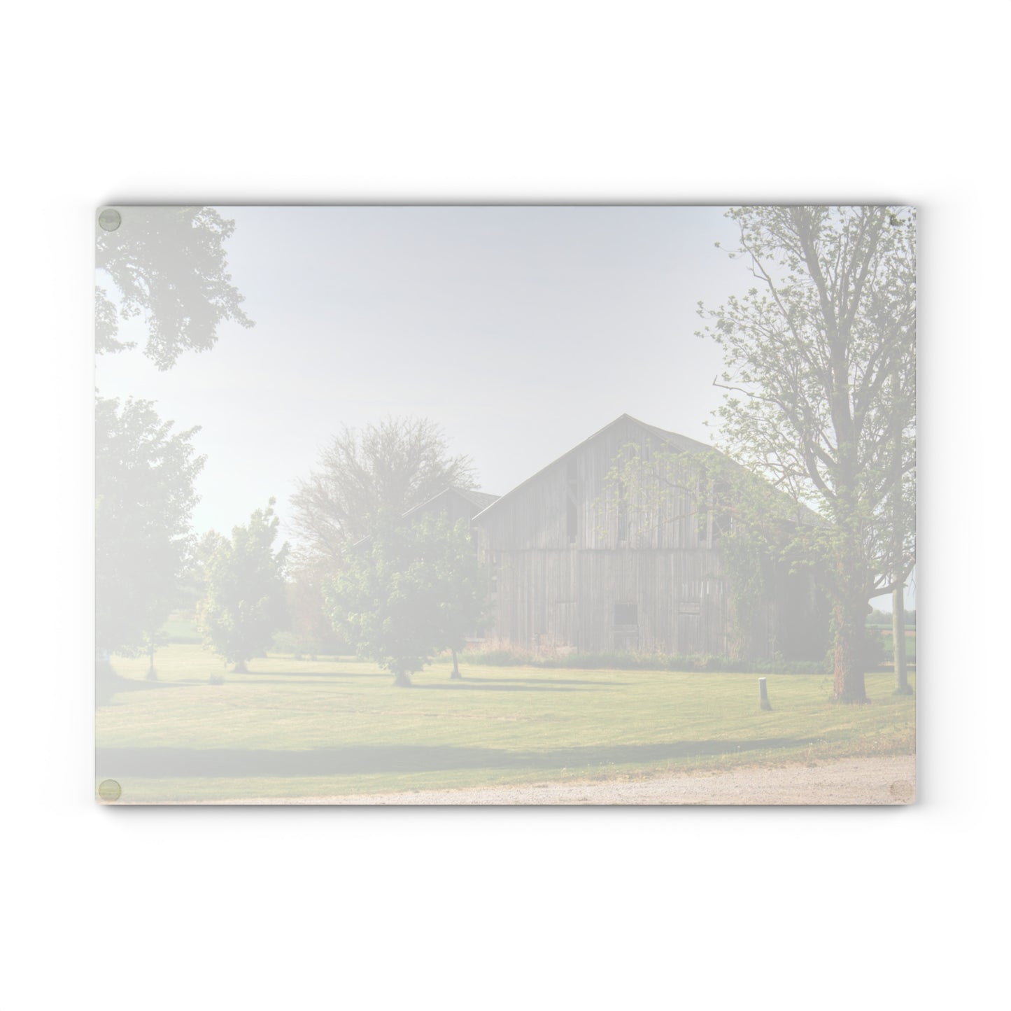U R There Photography Caro Road Twin Greys II Rustic Farmhouse Tempered-Glass Cutting Board