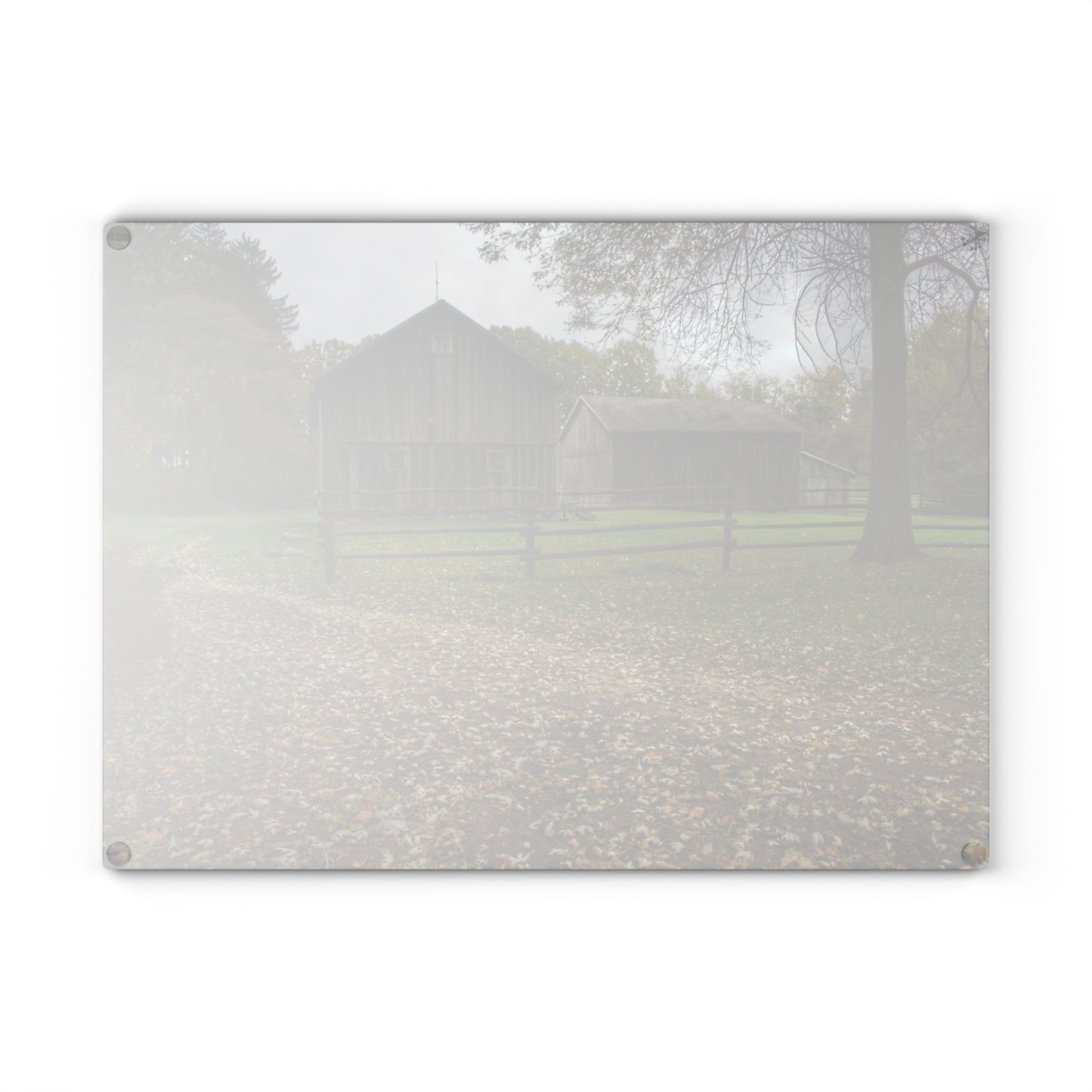 U R There Photography Wilder Road Greys II Rustic Farmhouse Tempered-Glass Cutting Board