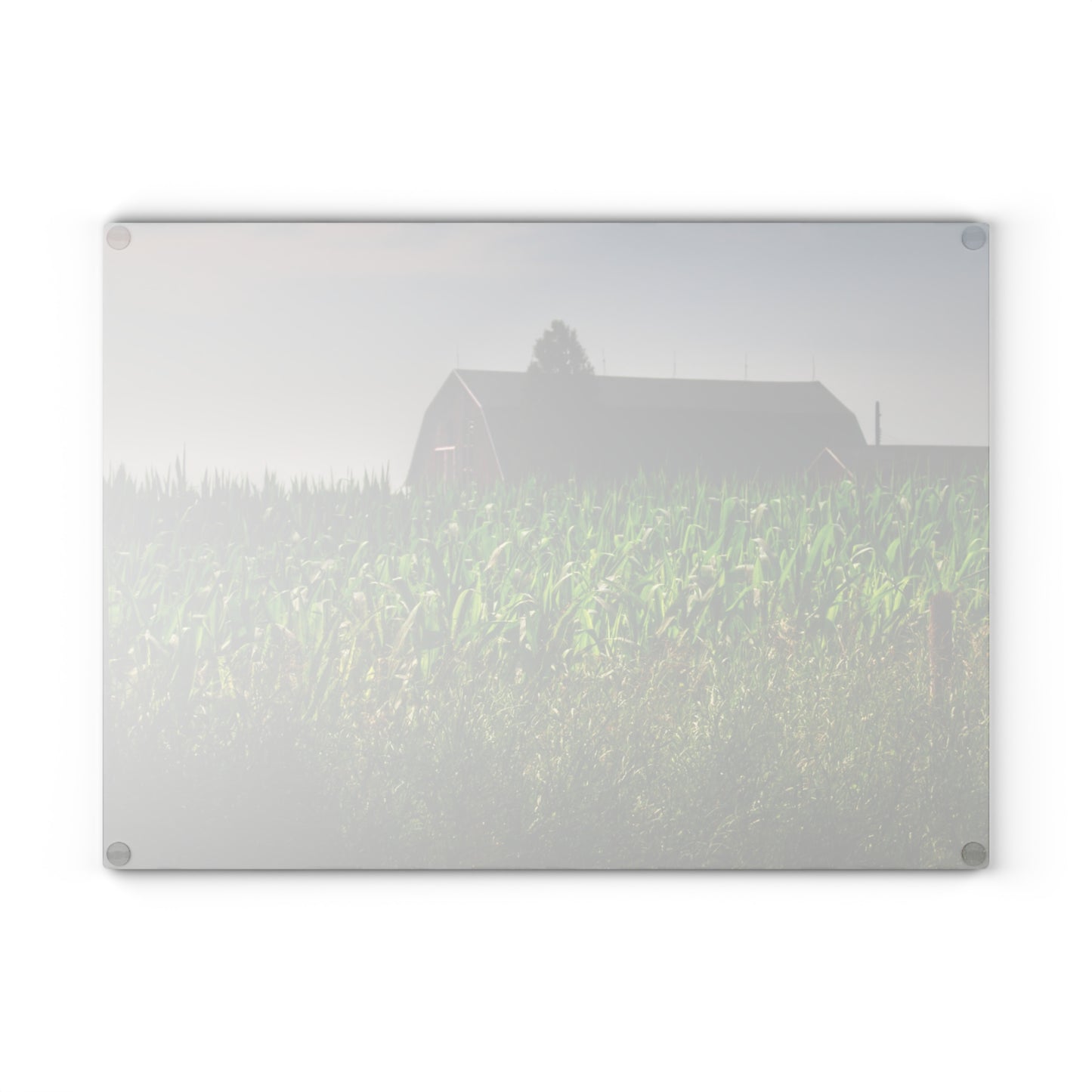 U R There Photography Beyond the Corn in Metamora Rustic Farmhouse Tempered-Glass Cutting Board