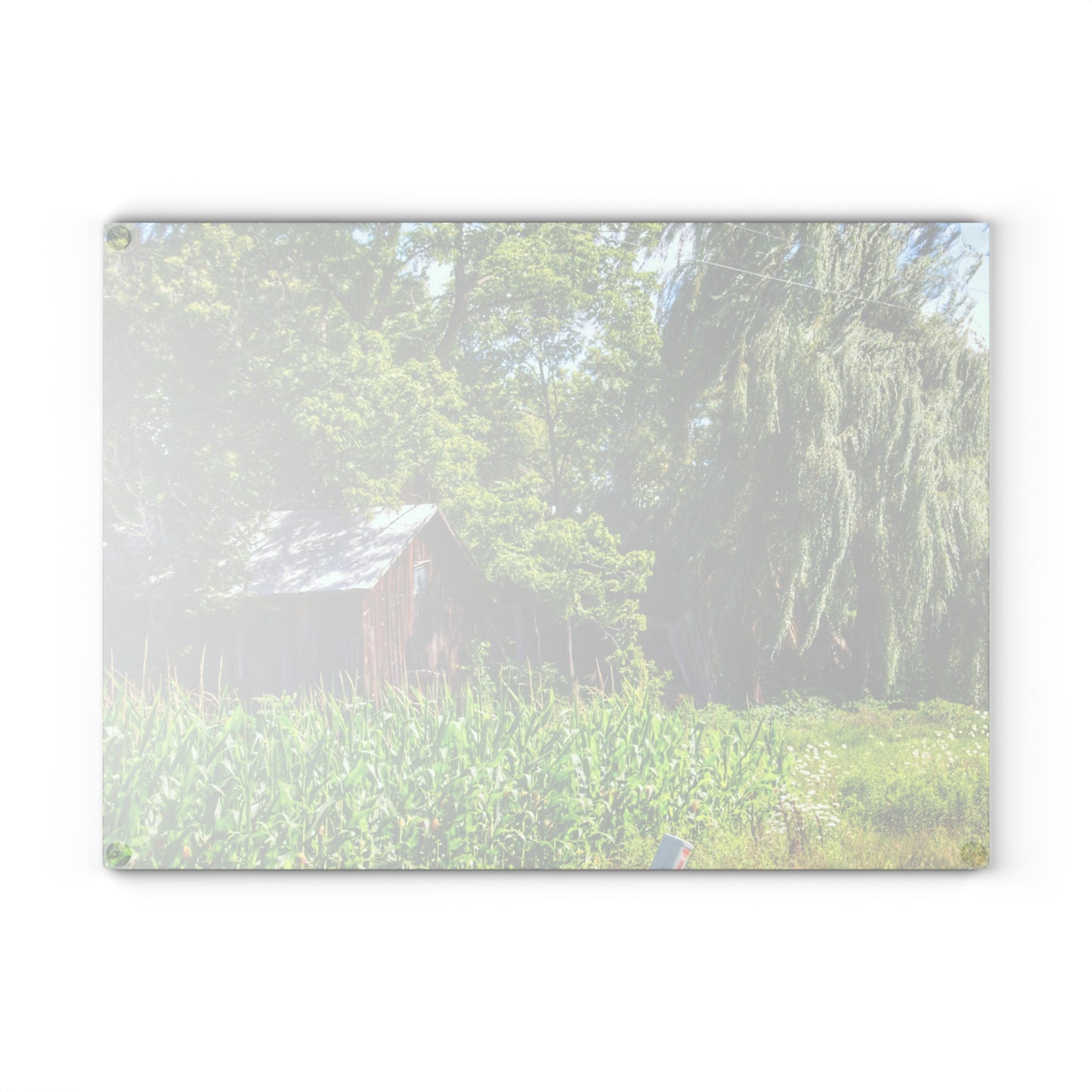 U R There Photography Roadside Ruin Rustic Farmhouse Tempered-Glass Cutting Board