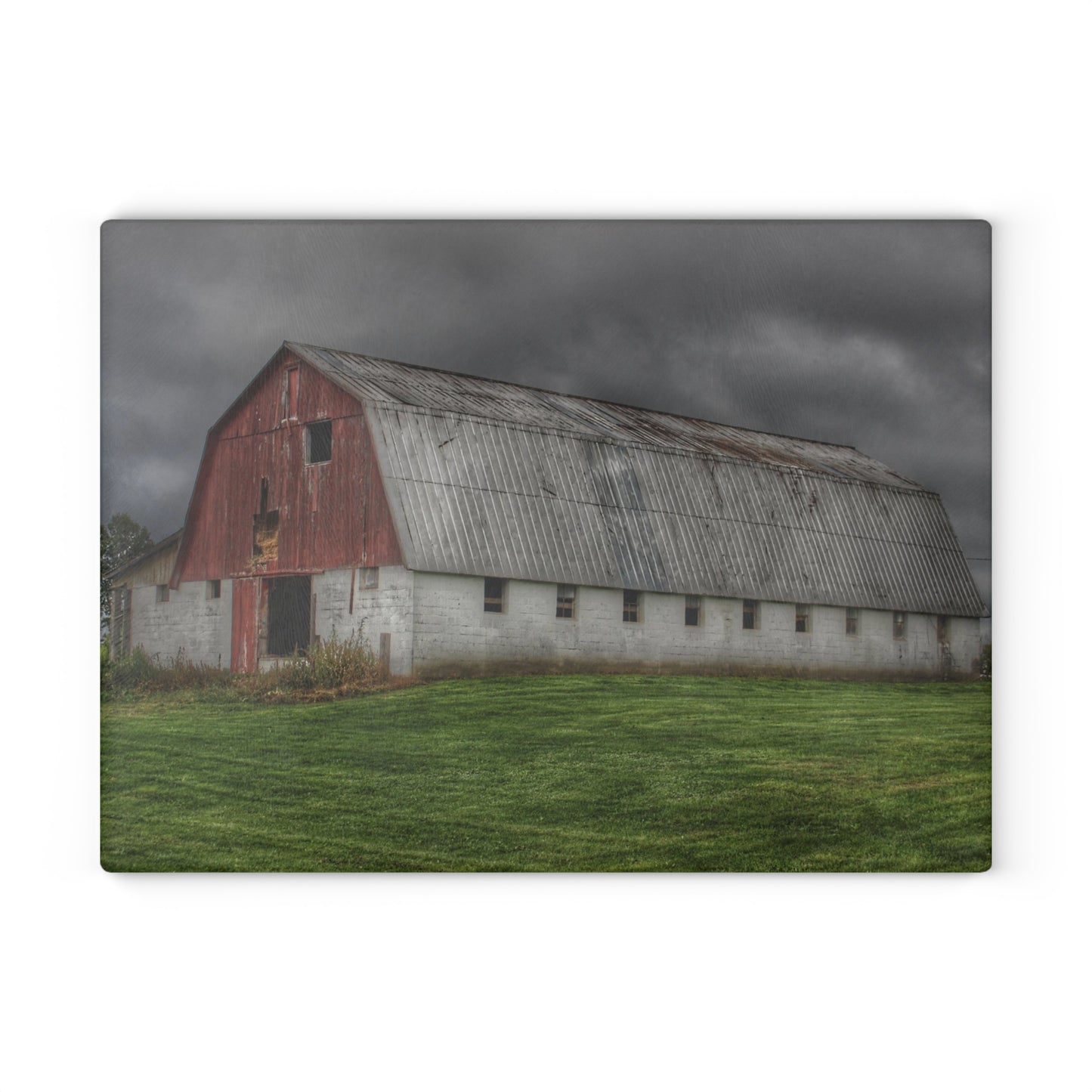 U R There Photography Peters Red Appaloosa II Rustic Farmhouse Acrylic Wall Print