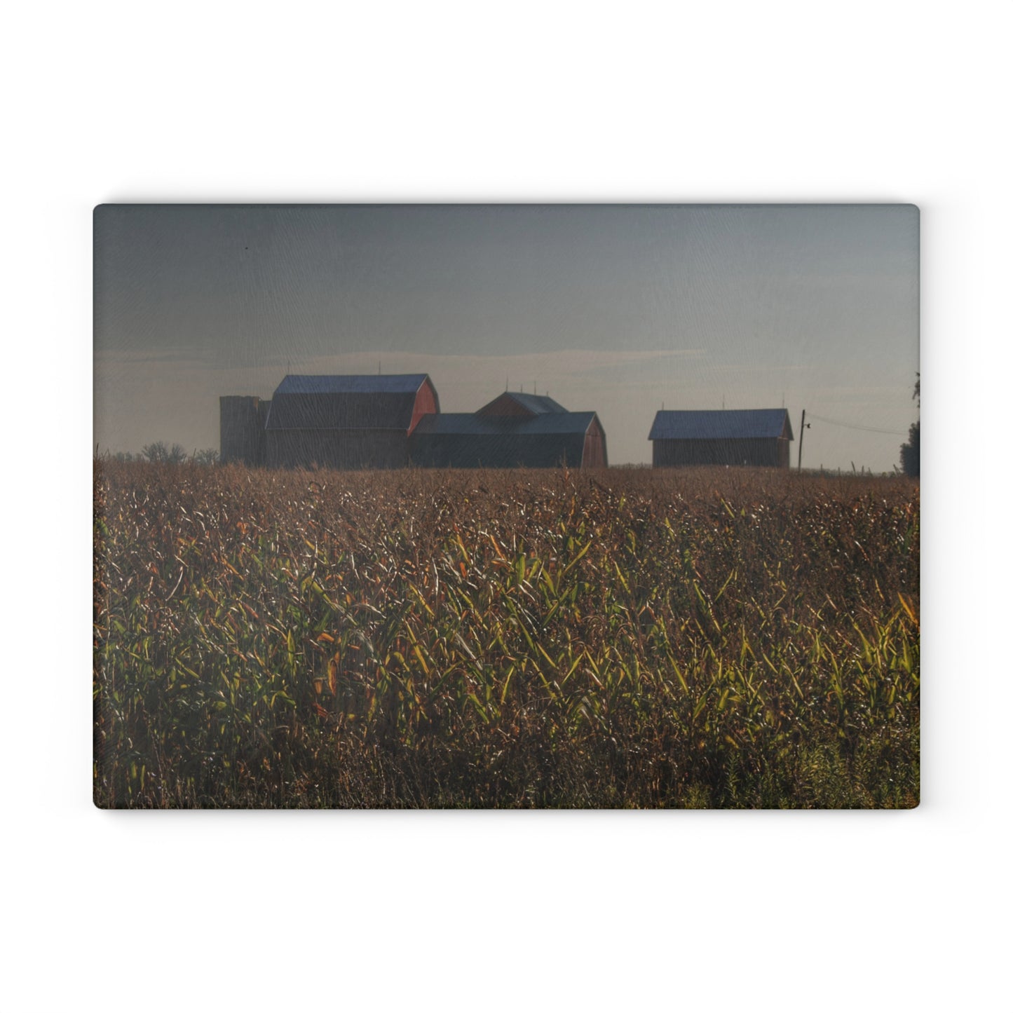 U R There Photography Slattery Road Farm and Cornfield I Rustic Farmhouse Tempered-Glass Cutting Board