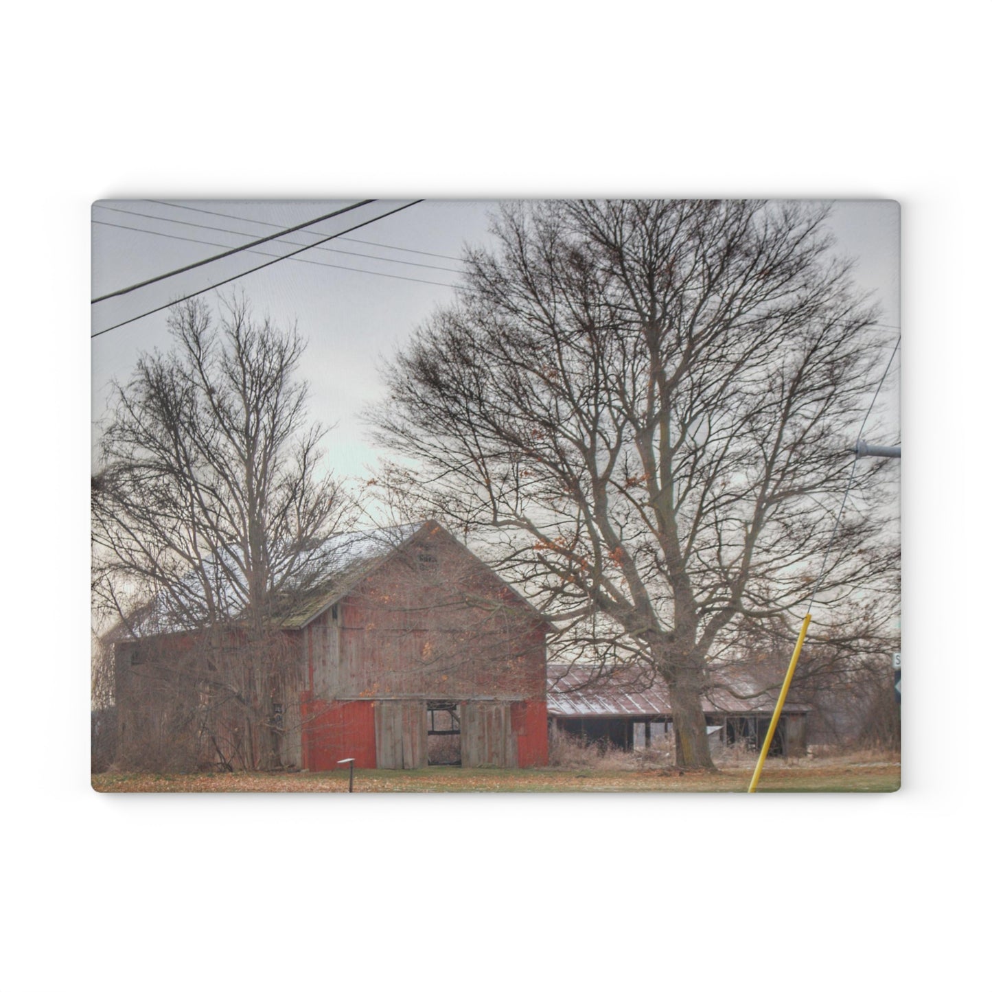 U R There Photography Almont Van Dyke Red III Rustic Farmhouse Tempered-Glass Cutting Board