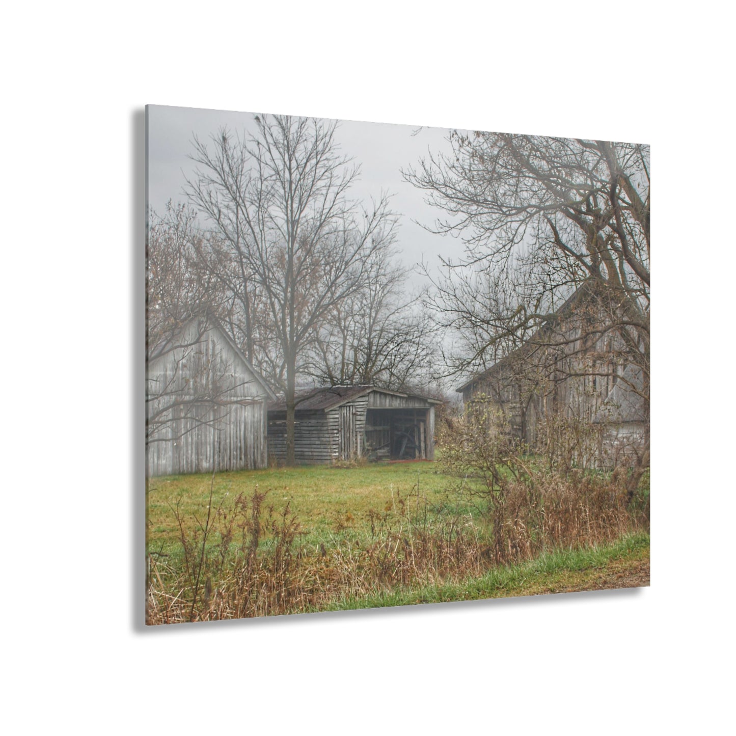 U R There Photography Bowers Road Greys IV Rustic Farmhouse Acrylic Wall Print