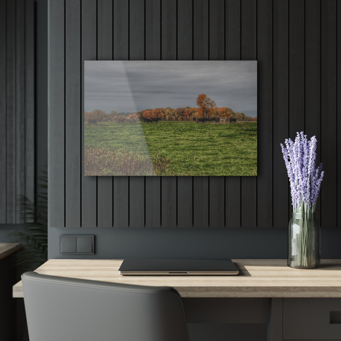U R There Photography Oak Cows Rustic Farmhouse Acrylic Wall Print