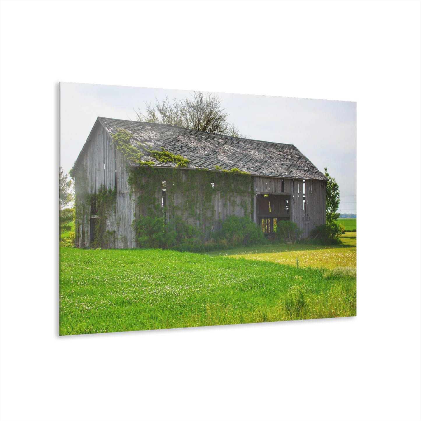 U R There Photography Caro Road Twin Grey II Rustic Farmhouse Acrylic Wall Print