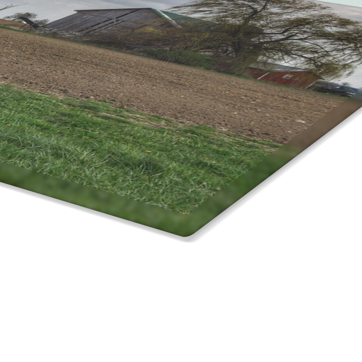U R There Photography Cedar Creek Road Grey Rustic Farmhouse Tempered-Glass Cutting Board