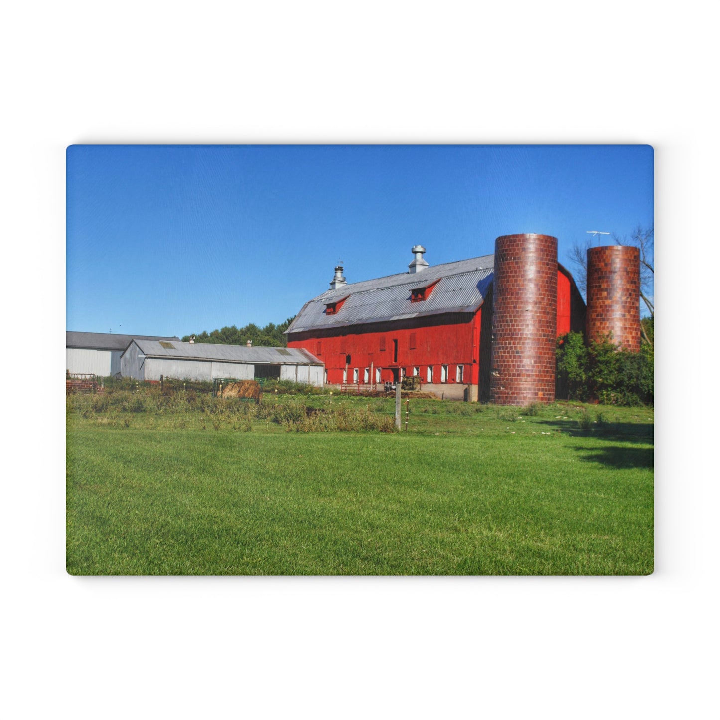 U R There Photography Baldwin Red II Rustic Farmhouse Tempered-Glass Cutting Board