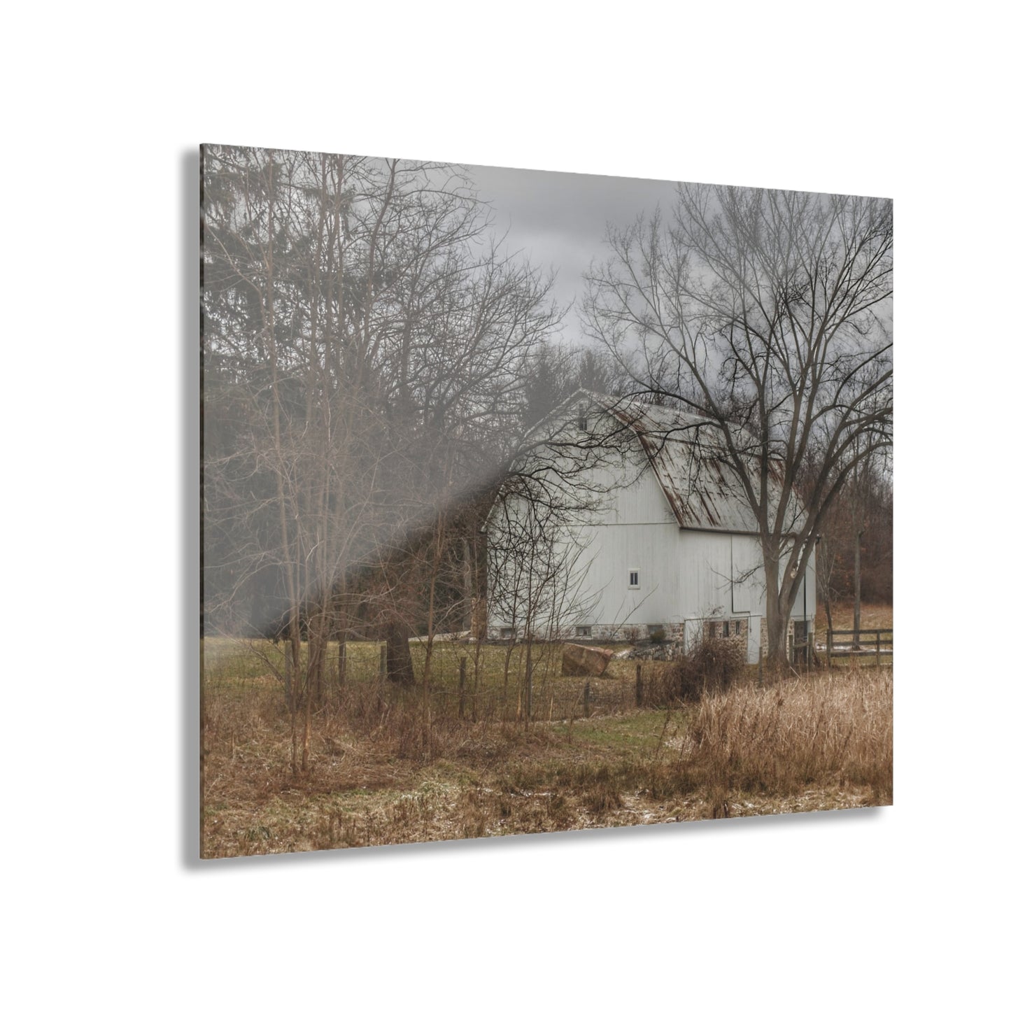 U R There Photography Oakwood Road White II Rustic Farmhouse Acrylic Wall Print