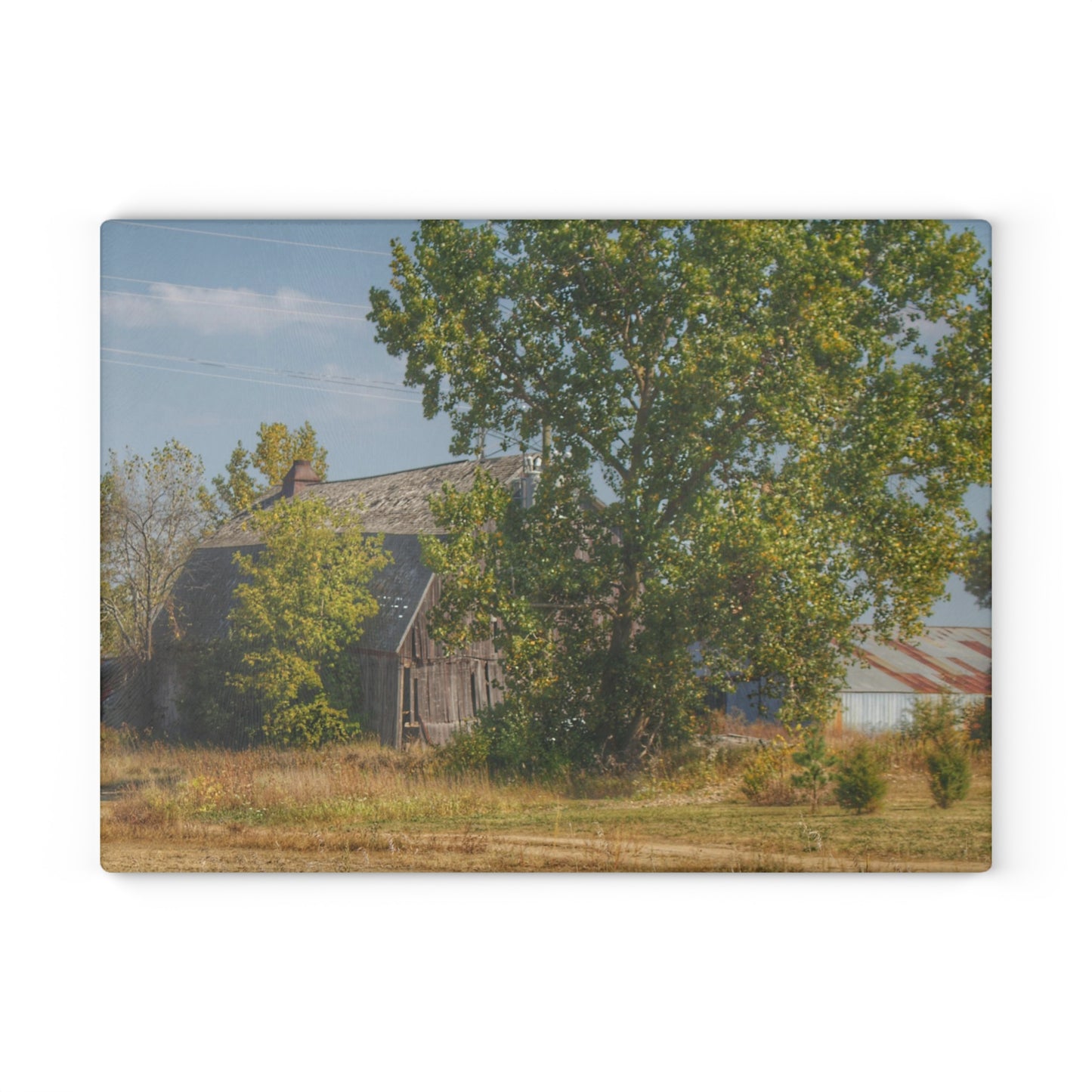 U R There Photography Barnes Road Old Grey I Rustic Farmhouse Tempered-Glass Cutting Board