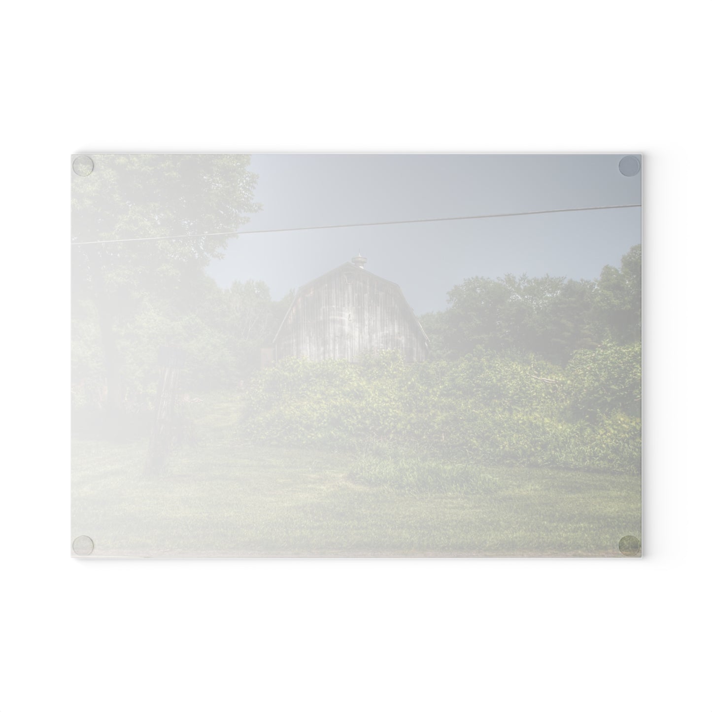 U R There Photography Vassar Road Hidden Grey I Rustic Farmhouse Tempered-Glass Cutting Board
