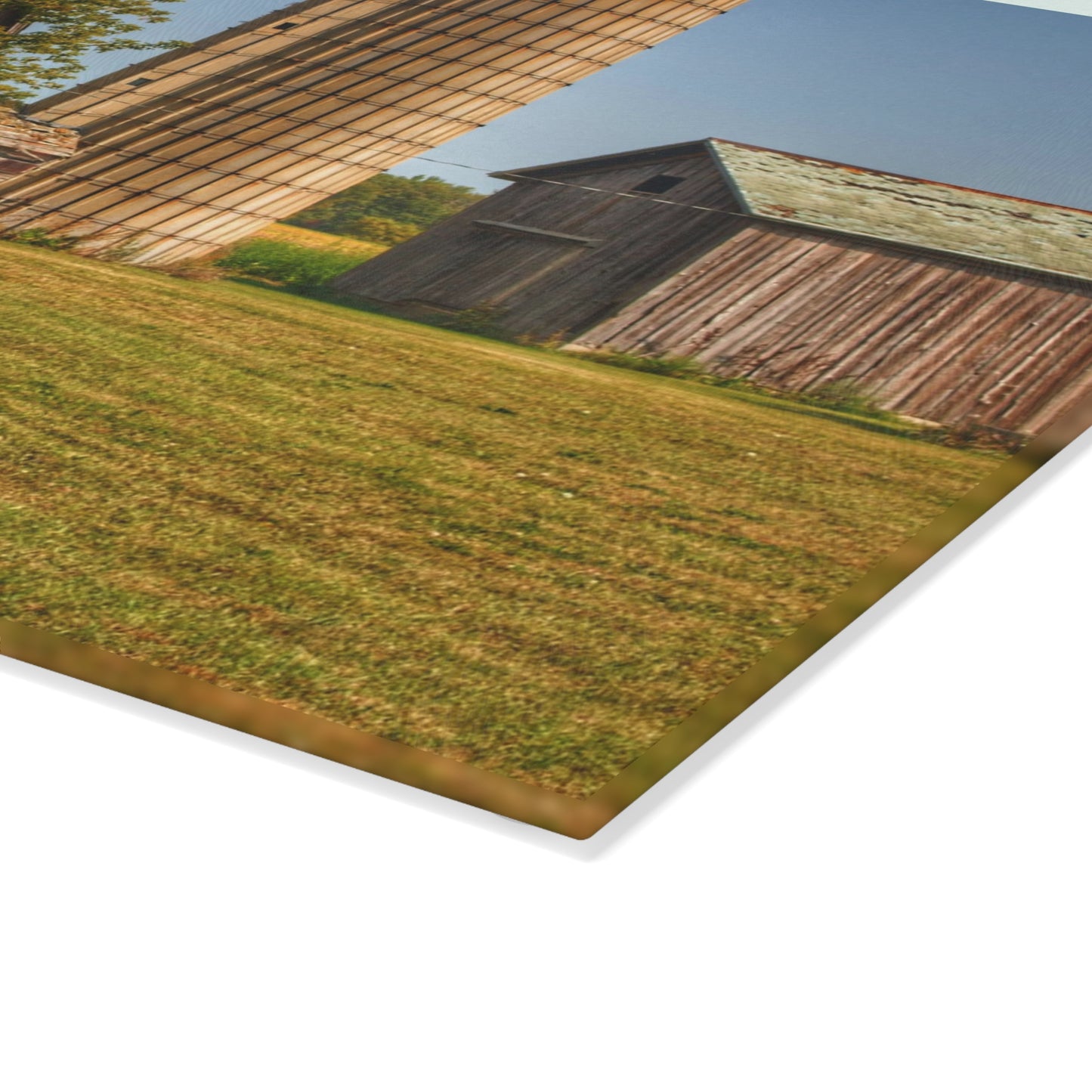 U R There Photography Swaffer Mini Greys and Silos Rustic Farmhouse Tempered-Glass Cutting Board