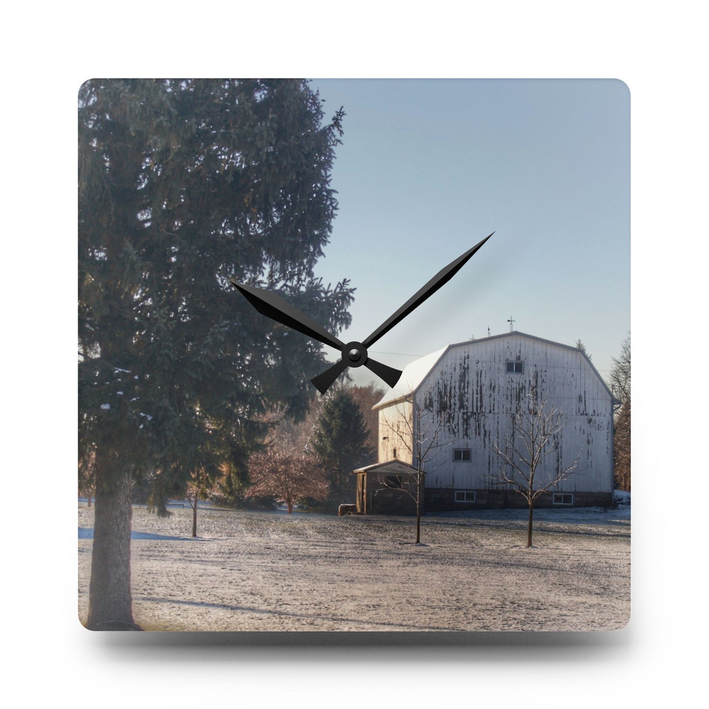U R There Photography Washburn White Rustic Farmhouse Acrylic Analog Wall Clock