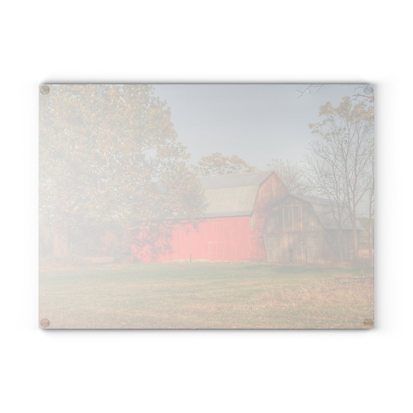 U R There Photography Barkley Road Red I Rustic Farmhouse Tempered-Glass Cutting Board