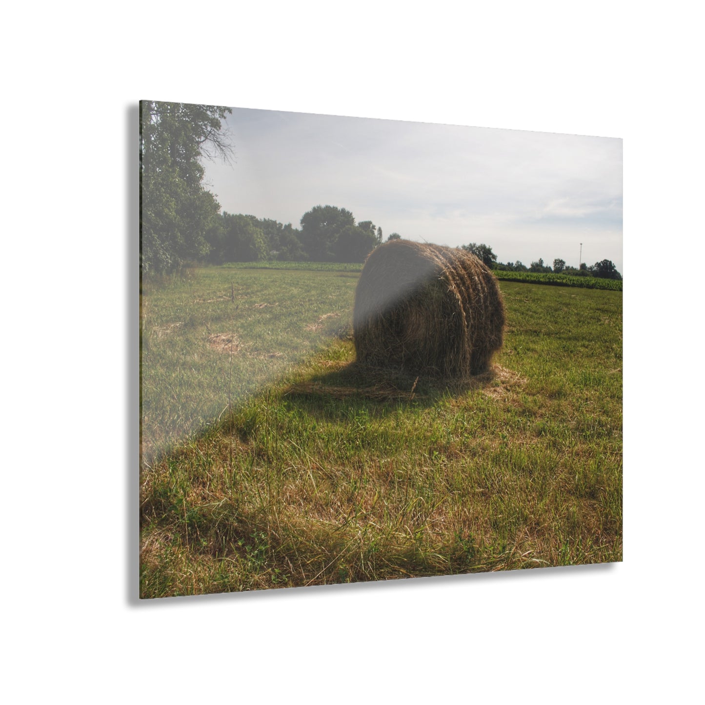U R There Photography Summer Haybales II Rustic Farmhouse Acrylic Wall Print