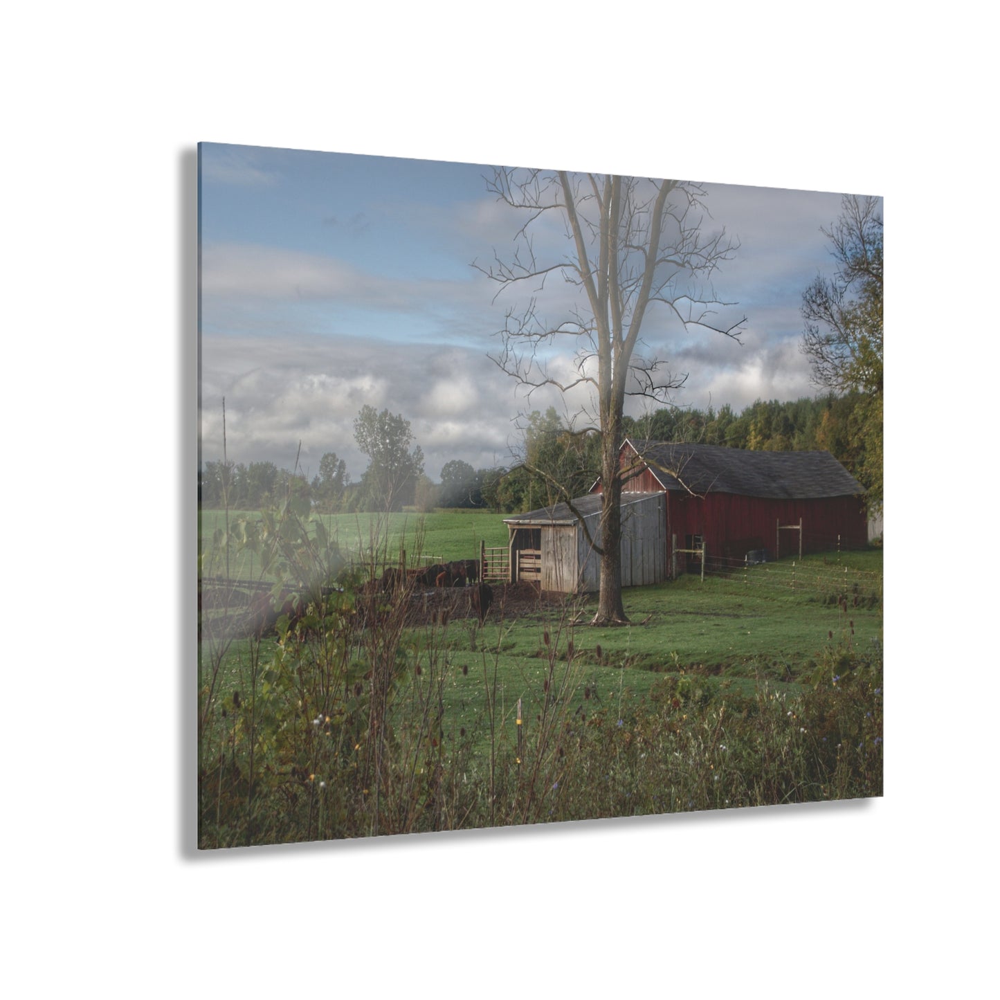 U R There Photography West Oregon Road Hidden Red IV Rustic Farmhouse Acrylic Wall Print
