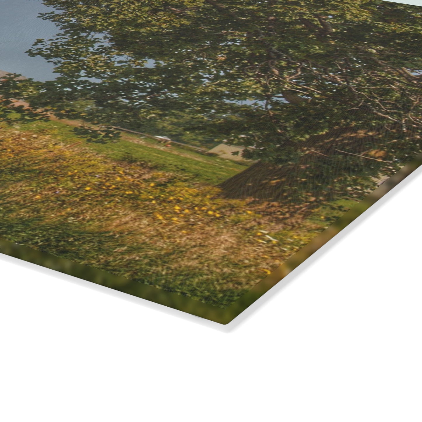 U R There Photography Treasurer Road Haybarn Rustic Farmhouse Tempered-Glass Cutting Board