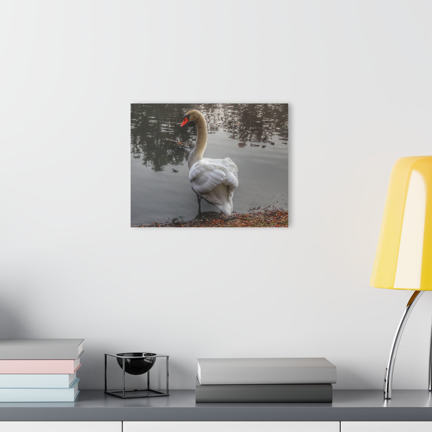 U R There Photography Swans of Duck Lake III Rustic Farmhouse Acrylic Wall Print