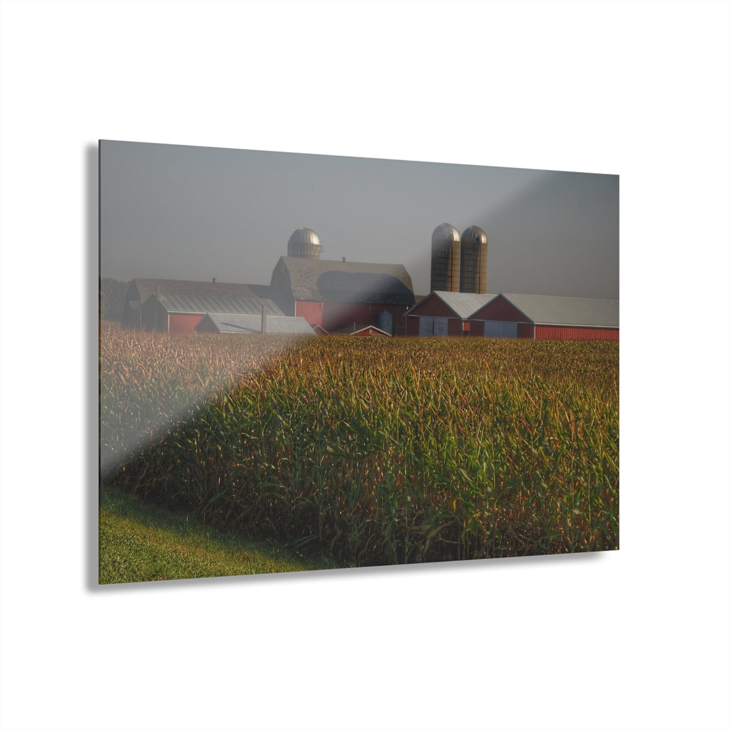U R There Photography Slattery Road Farm and Cornfield II Rustic Farmhouse Acrylic Wall Print