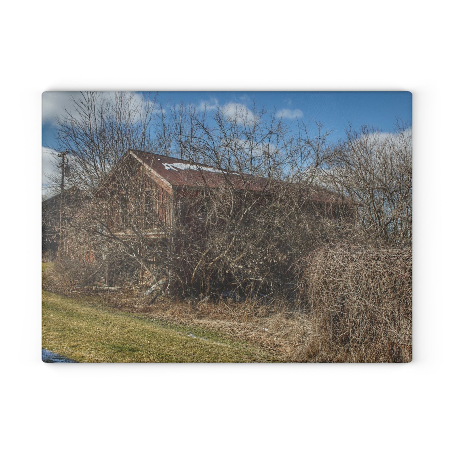 U R There Photography Buried Burnside Greys I Rustic Farmhouse Tempered-Glass Cutting Board