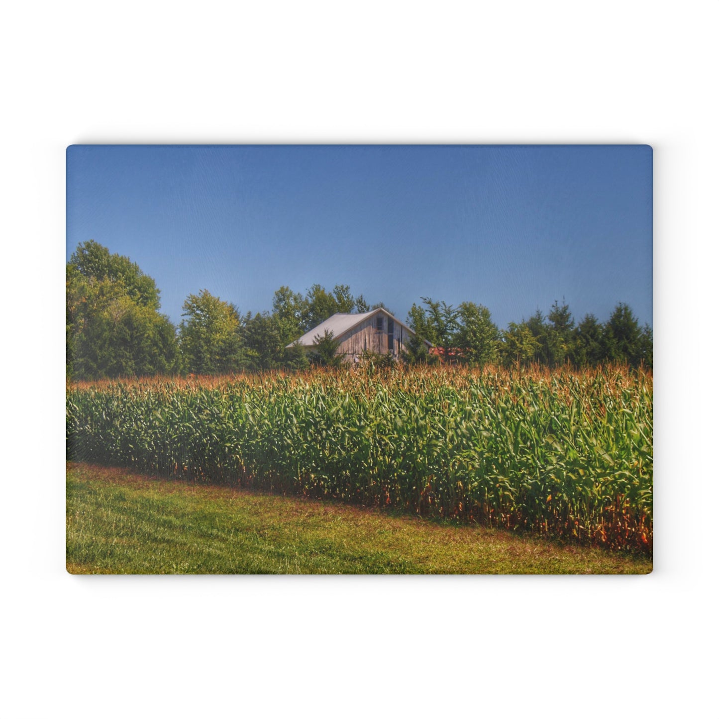 U R There Photography Beyond the Corn on Birch Run Road Rustic Farmhouse Tempered-Glass Cutting Board
