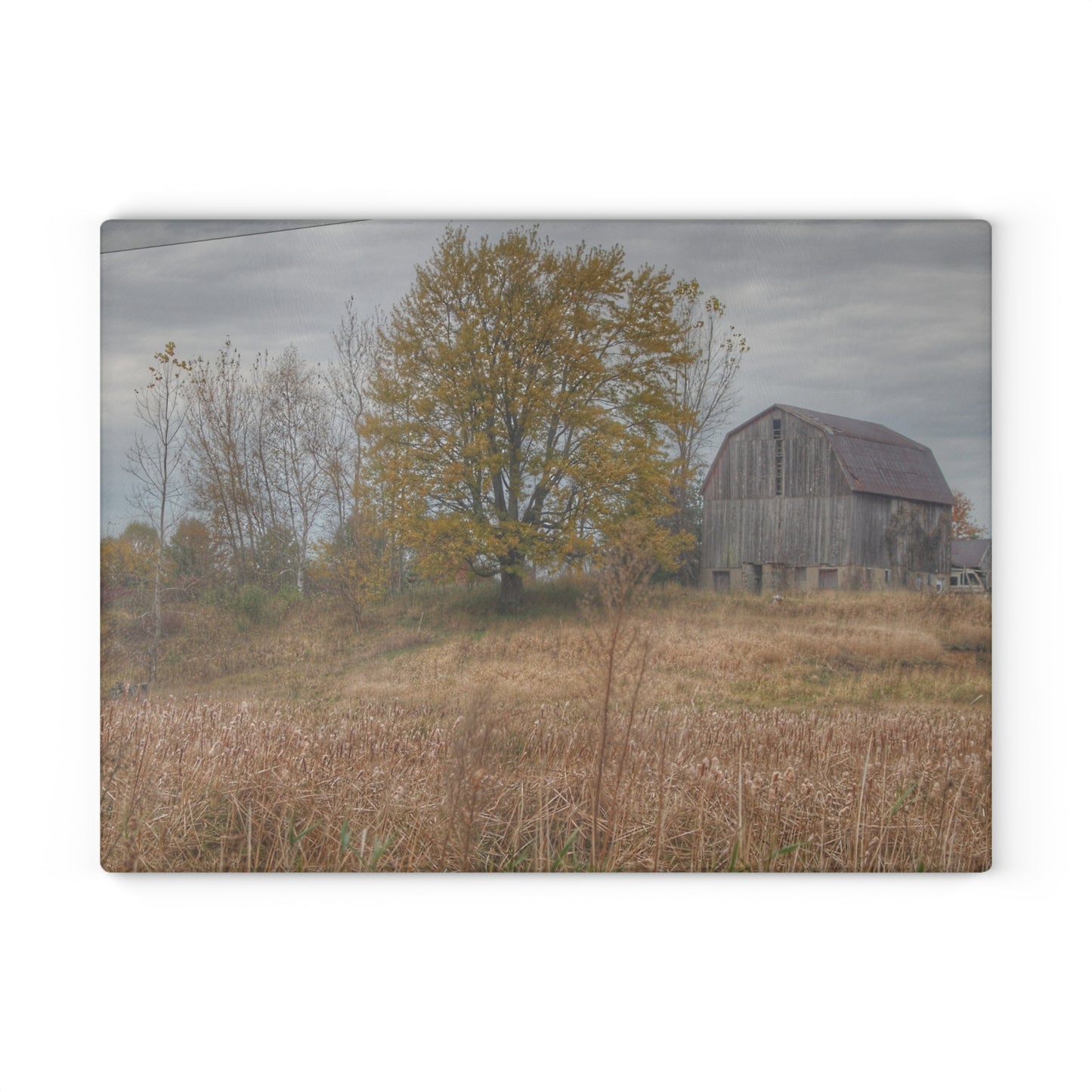 U R There Photography Swaffer Road Hilltop Grey Rustic Farmhouse Tempered-Glass Cutting Board