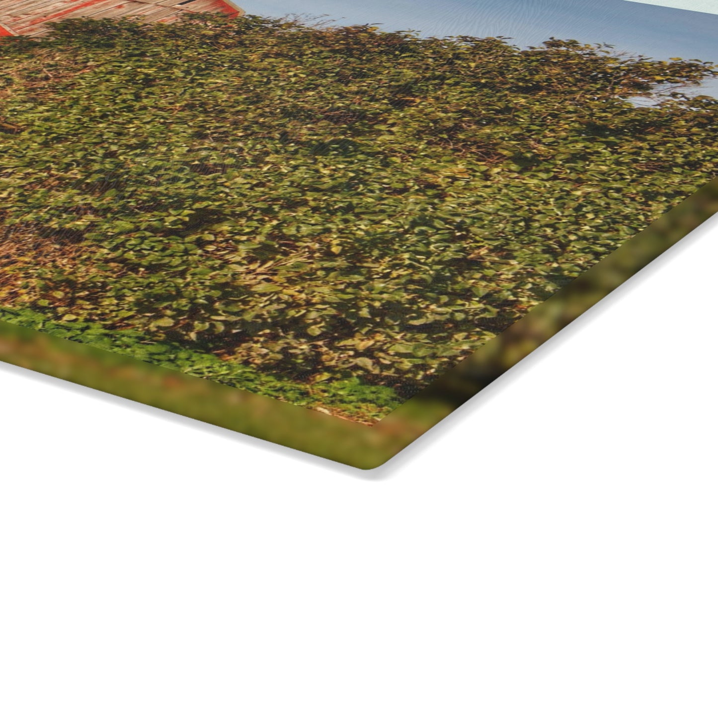 U R There Photography Cade Road Red II Rustic Farmhouse Tempered-Glass Cutting Board