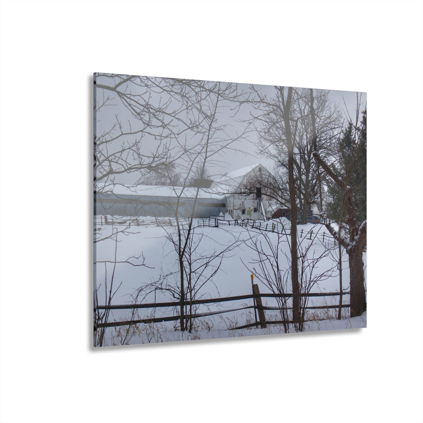 U R There Photography Oakwood Hidden White Rustic Farmhouse Acrylic Wall Print