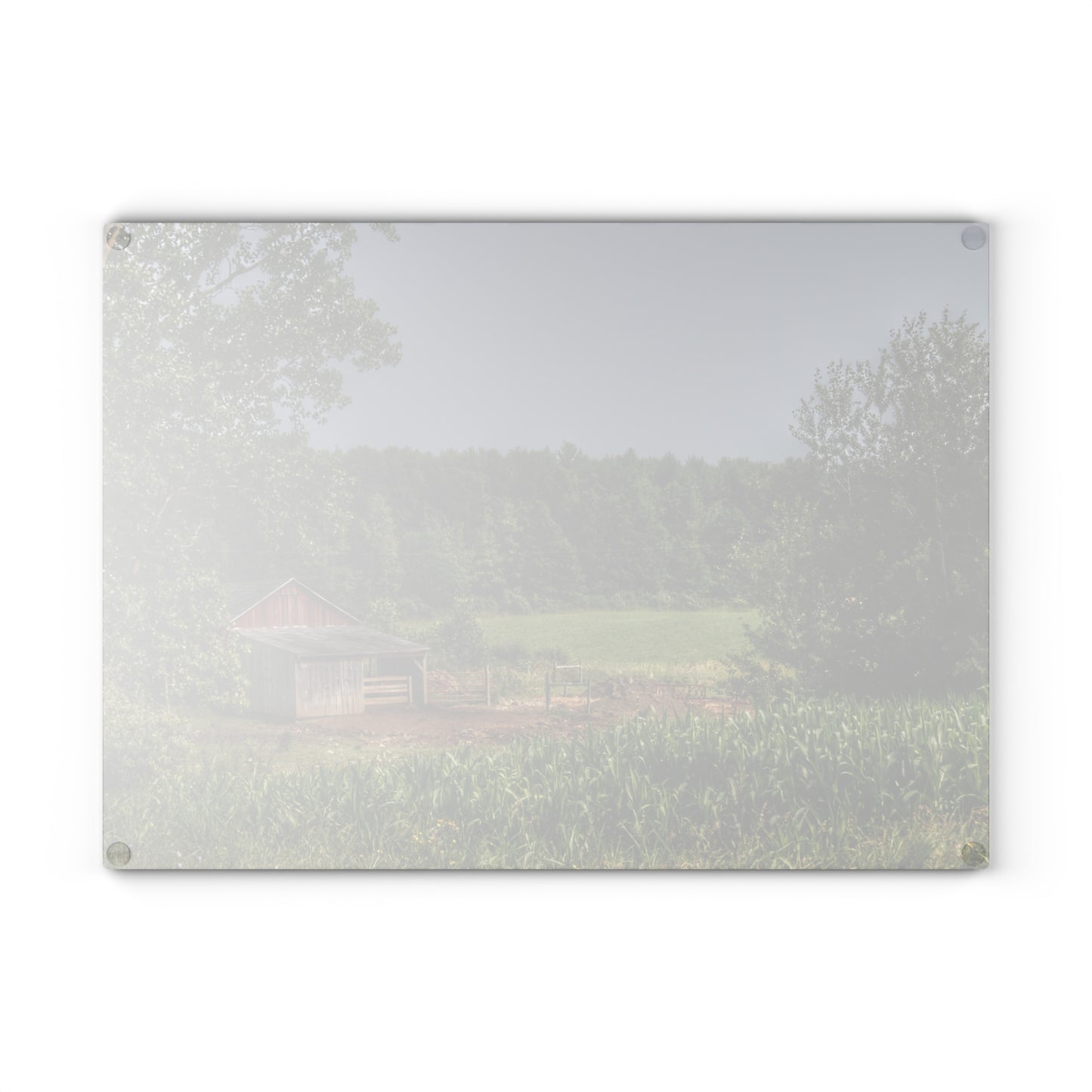U R There Photography West Oregon Road Hidden Red I Rustic Farmhouse Tempered-Glass Cutting Board