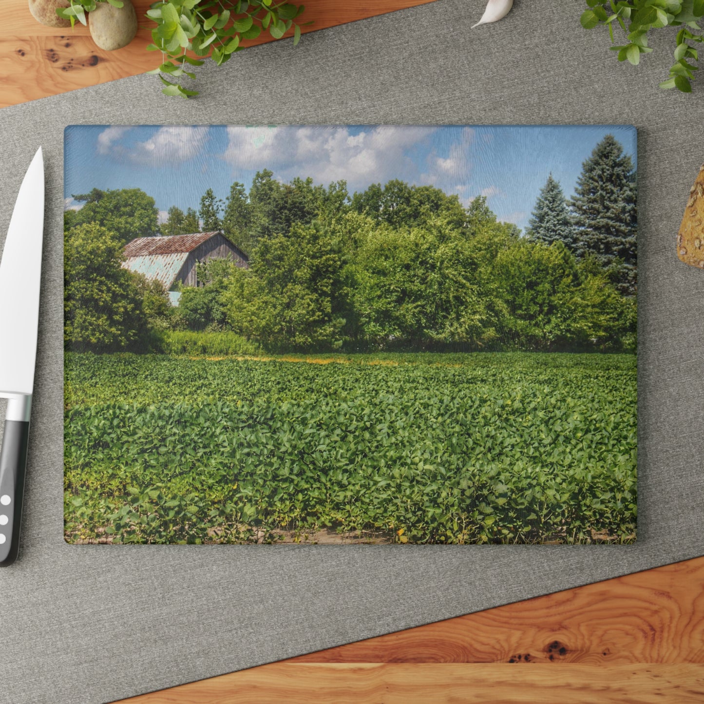 U R There Photography Canada Road Hidden Rustic Farmhouse Tempered-Glass Cutting Board